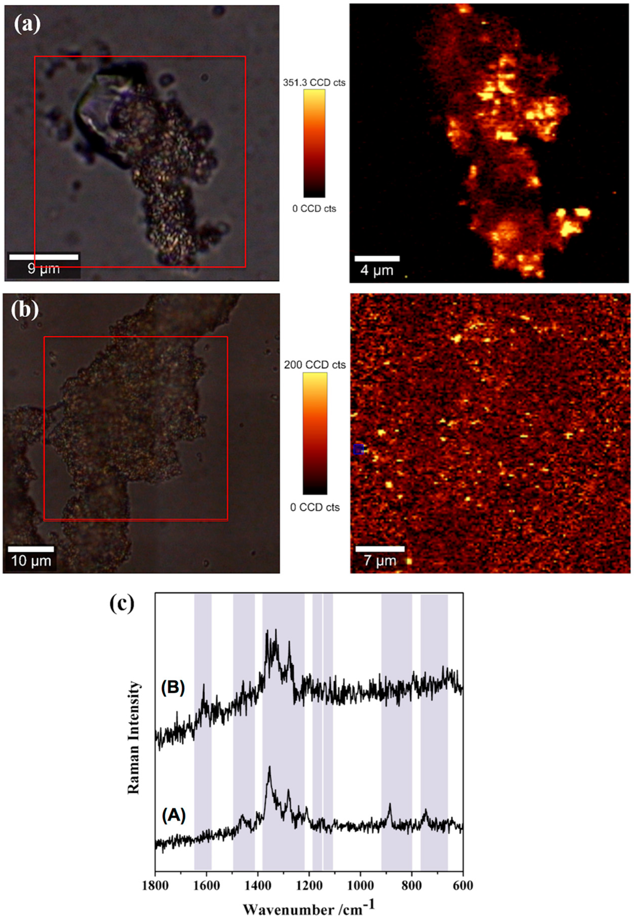 Nanomaterials 09 00031 g011