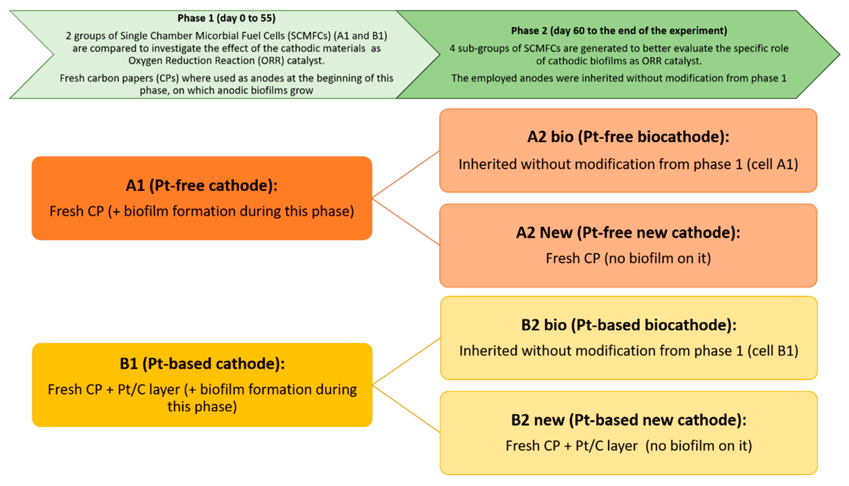 Nanomaterials 09 00036 sch001 Nanomaterials 09 00036 sch001