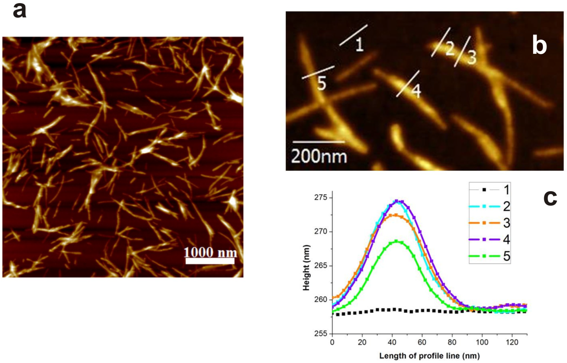 Nanomaterials 09 00037 g001