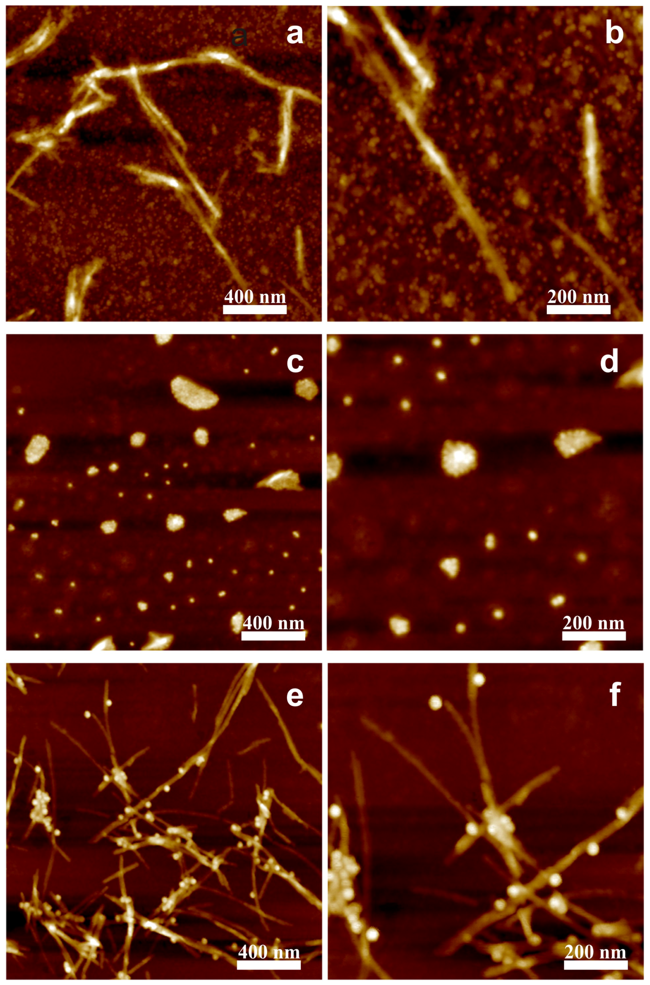 Nanomaterials 09 00037 g003