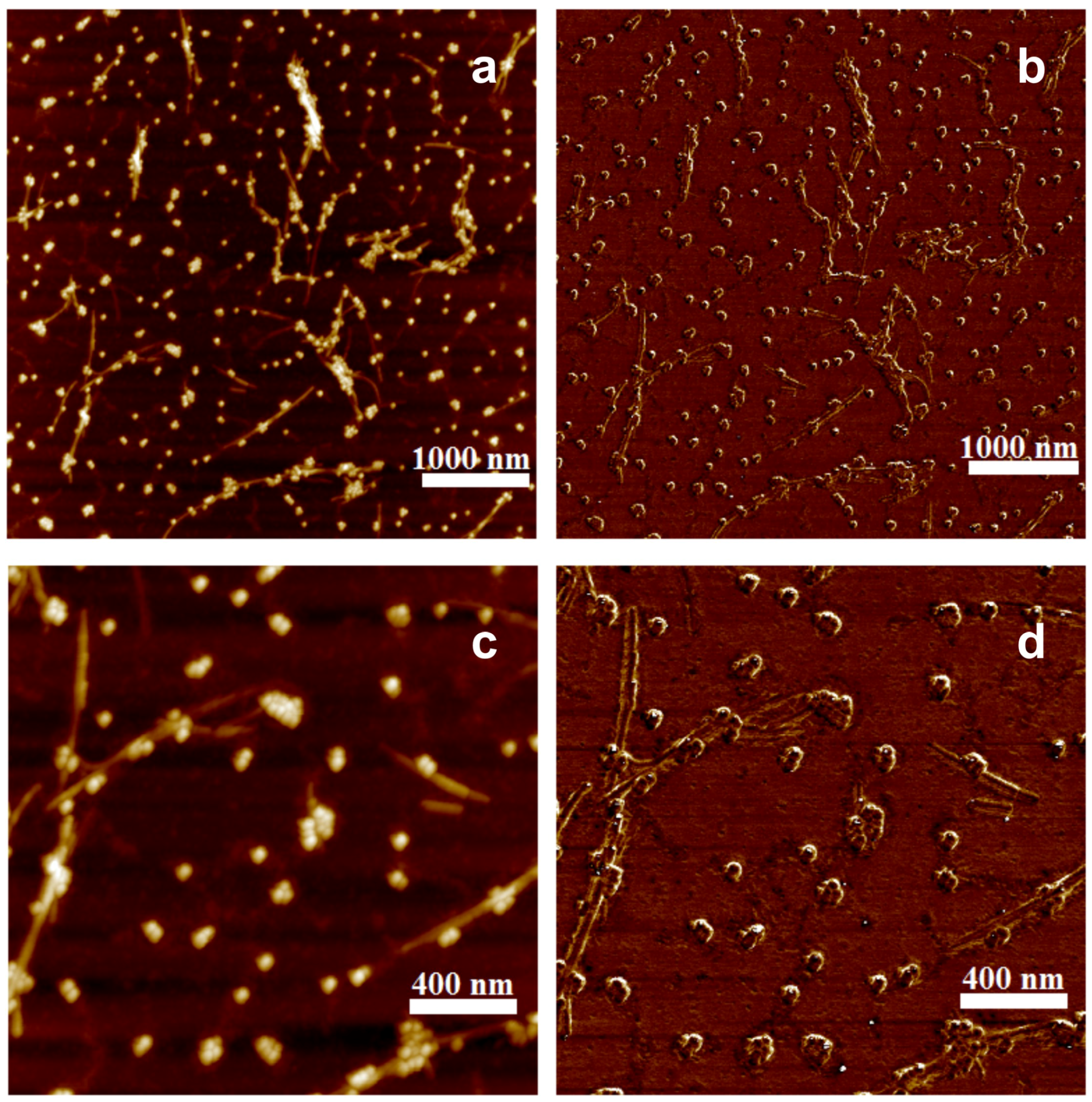 Nanomaterials 09 00037 g006