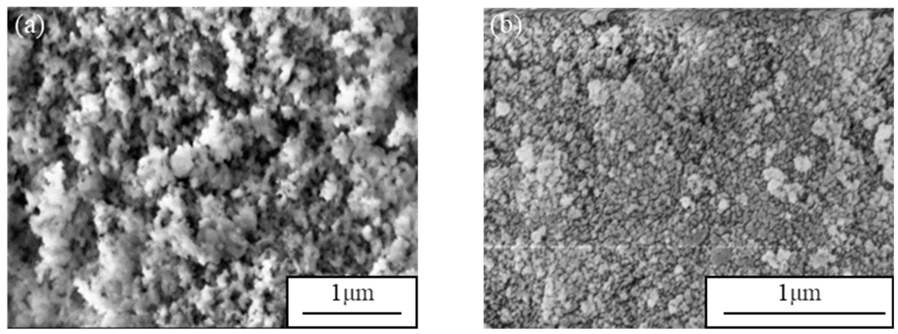 Nanomaterials 09 00040 g006 550