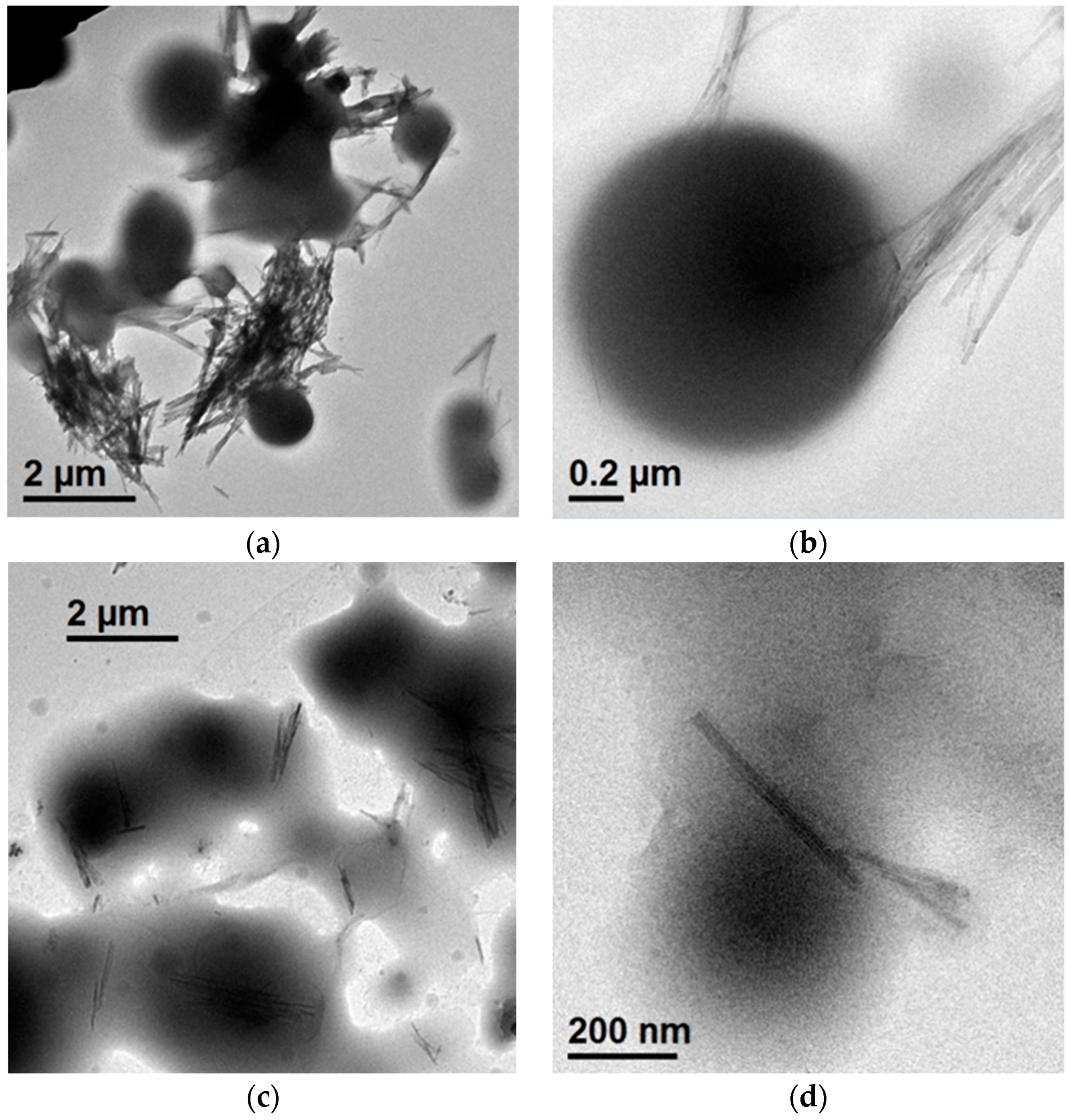 Nanomaterials 09 00046 g004 Nanomaterials 09 00046 g004