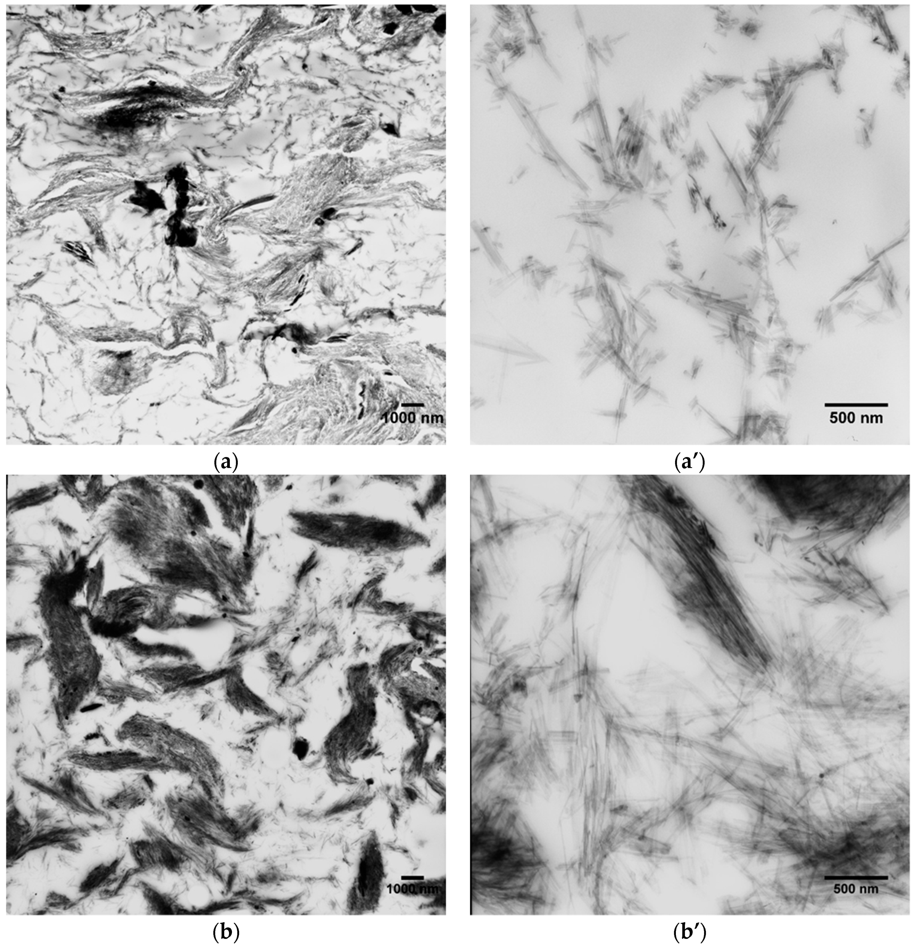 Nanomaterials 09 00046 g005 Nanomaterials 09 00046 g005