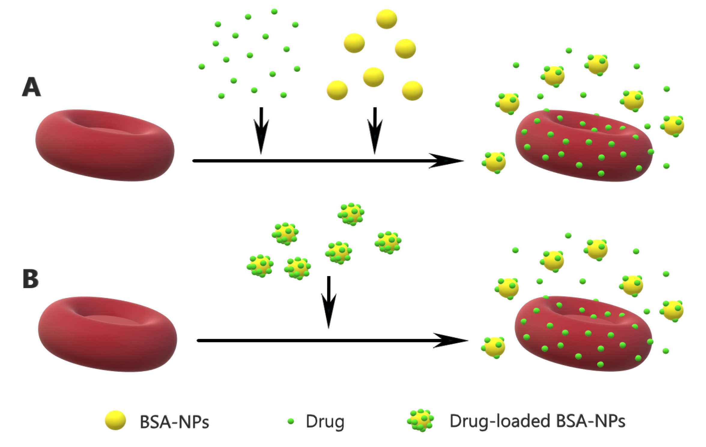 Nanomaterials 09 00047 g001