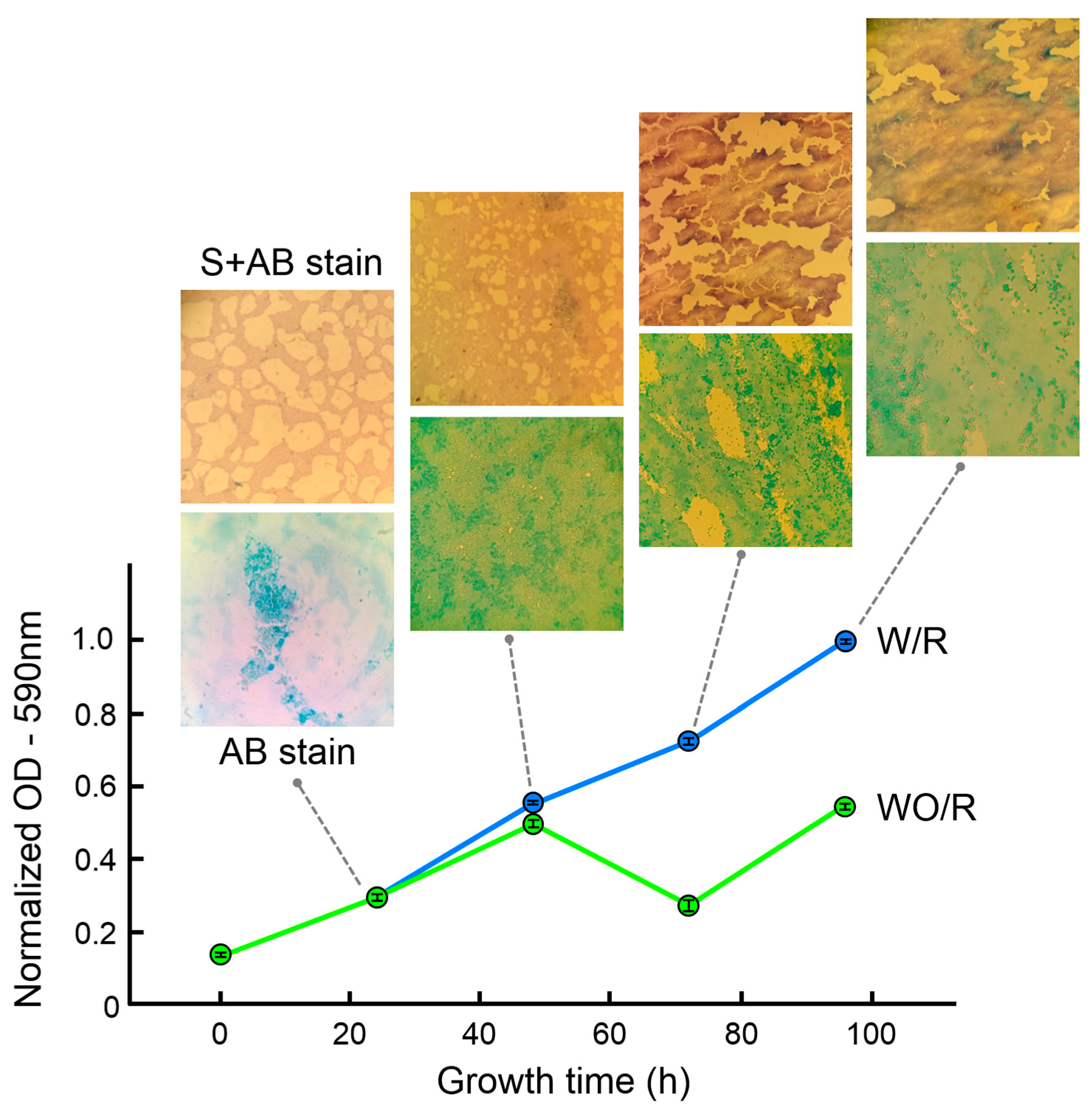 Nanomaterials 09 00049 g001