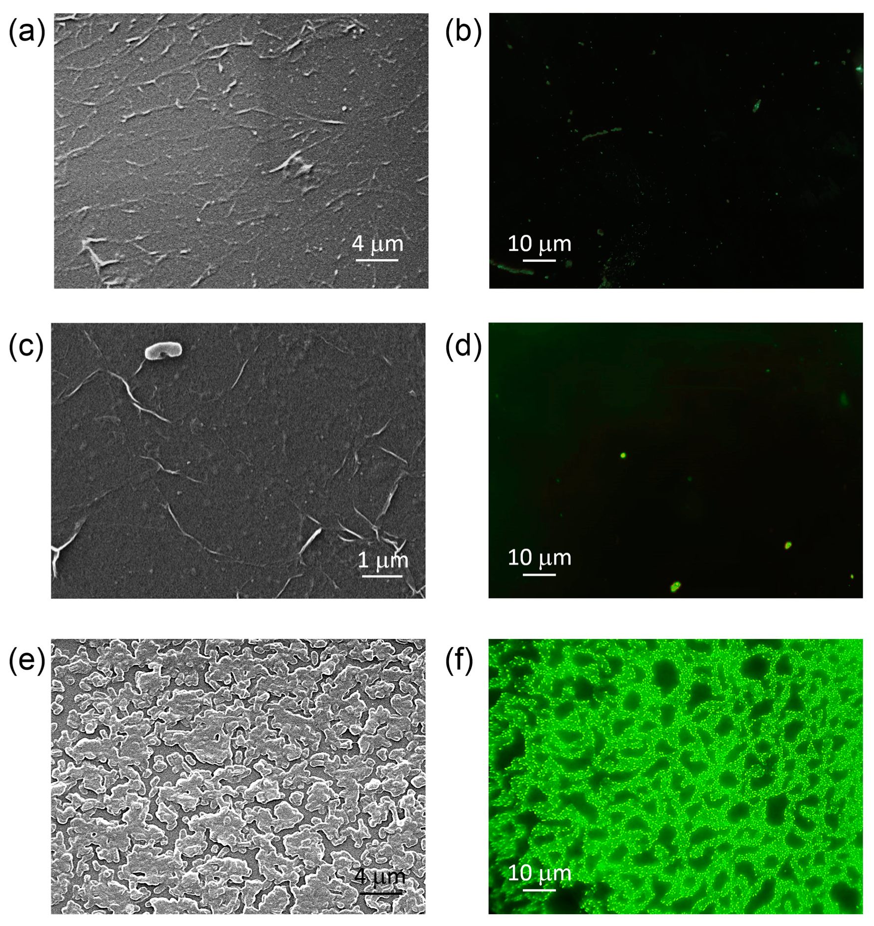 Nanomaterials 09 00049 g005