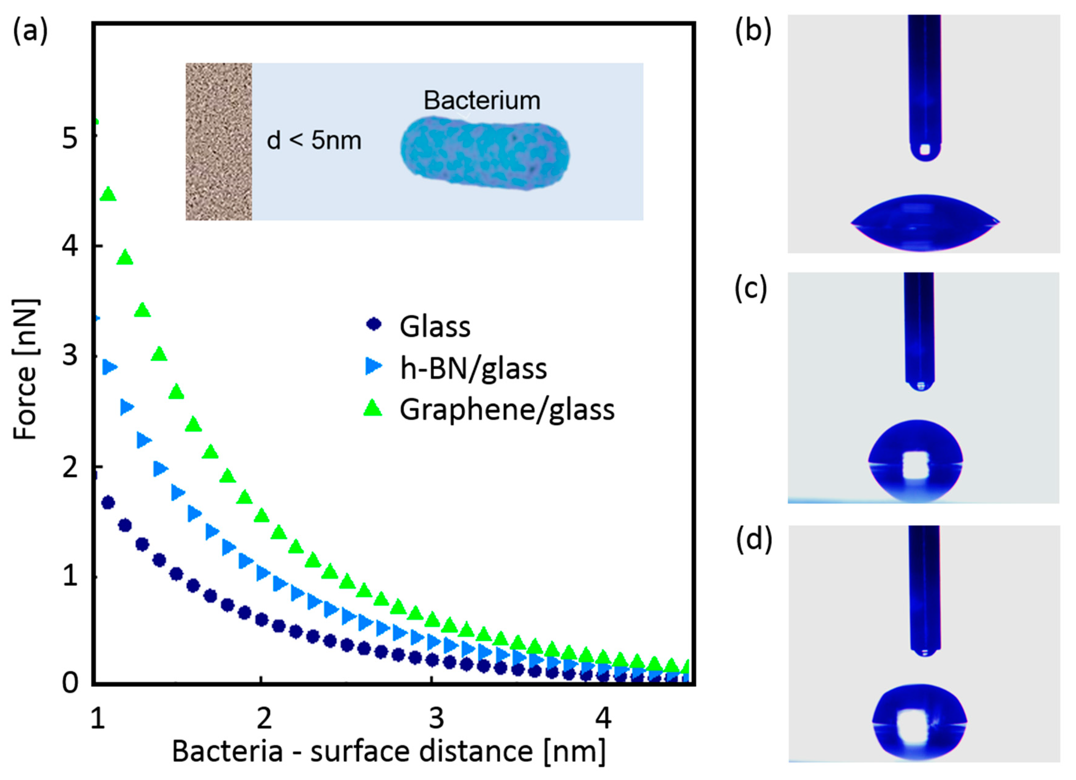 Nanomaterials 09 00049 g006