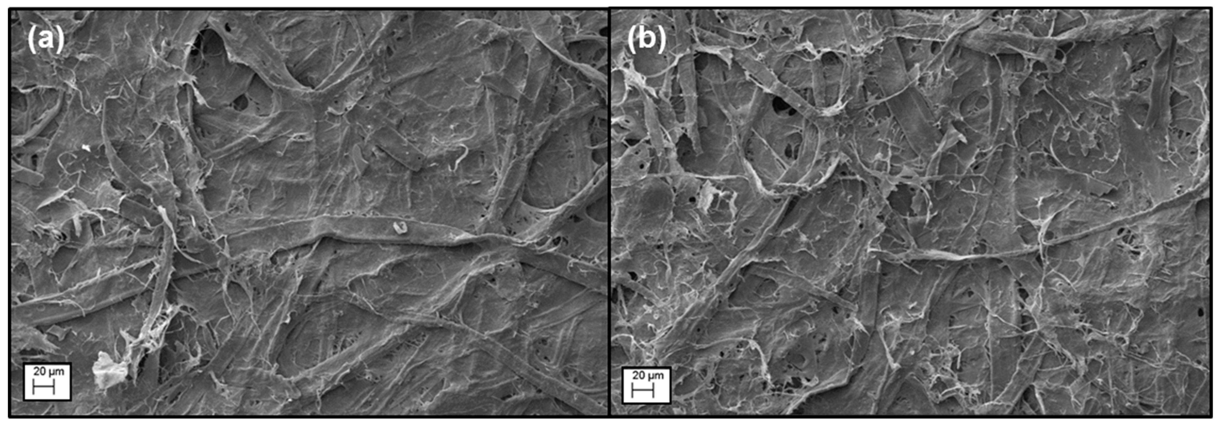 Nanomaterials 09 00058 g004 Nanomaterials 09 00058 g004