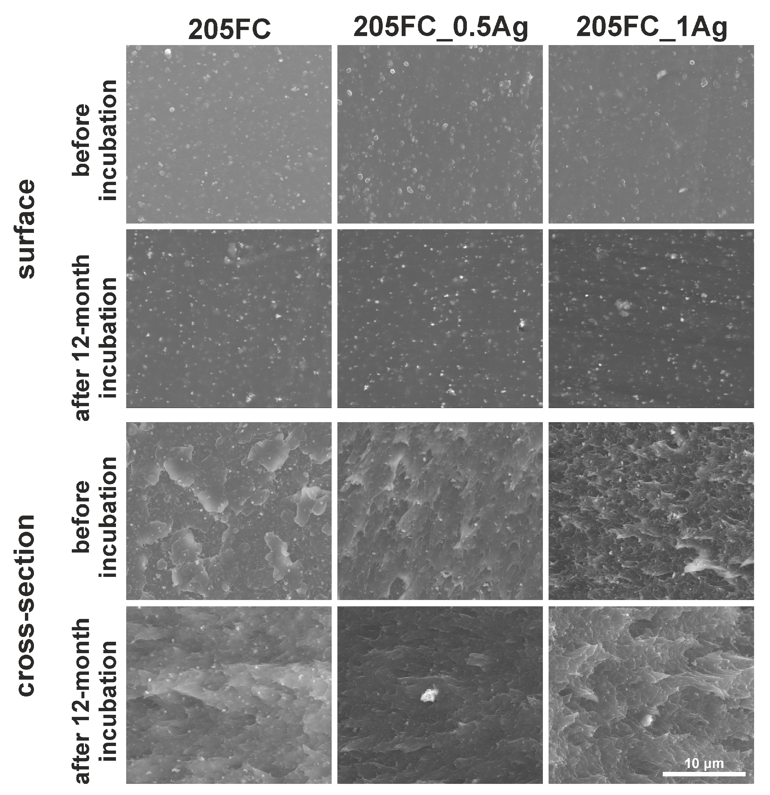 Nanomaterials 09 00061 g001