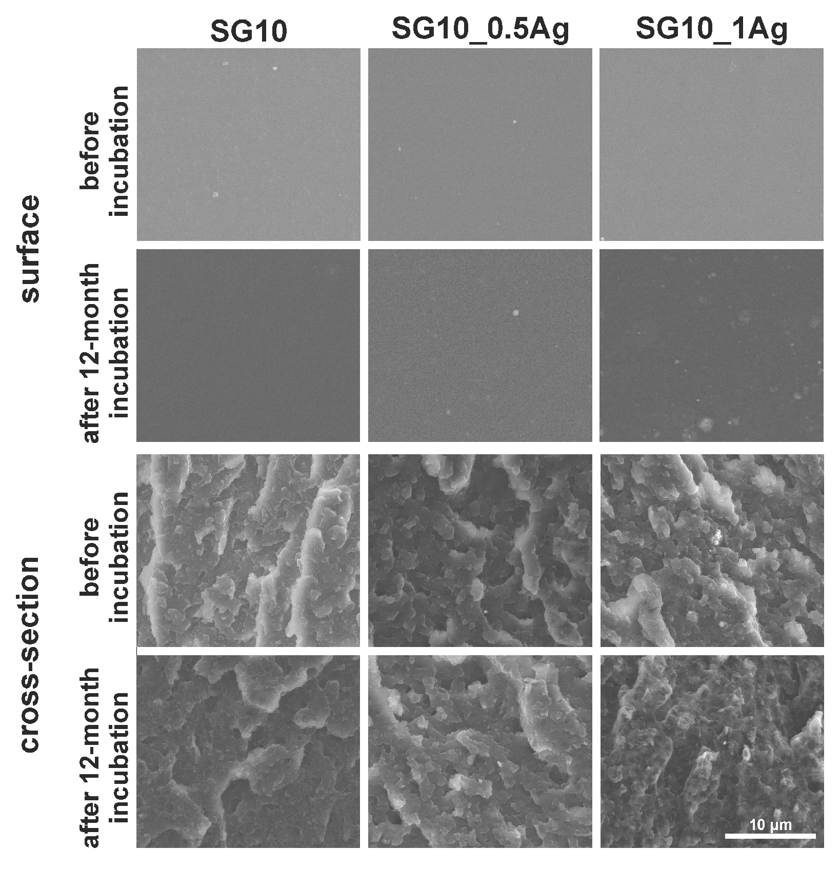 Nanomaterials 09 00061 g002