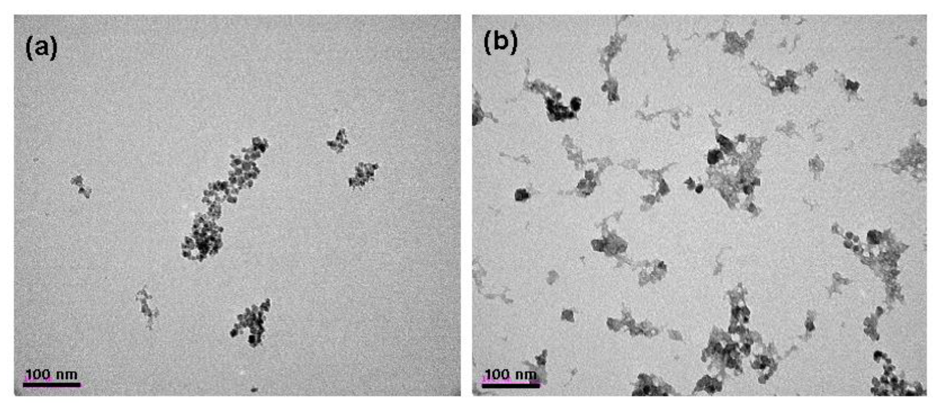 Nanomaterials 09 00062 g001