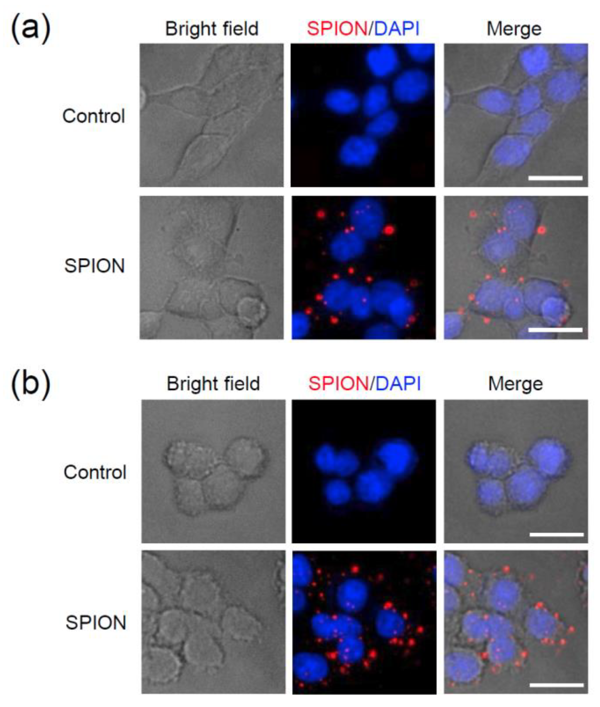 Nanomaterials 09 00062 g007