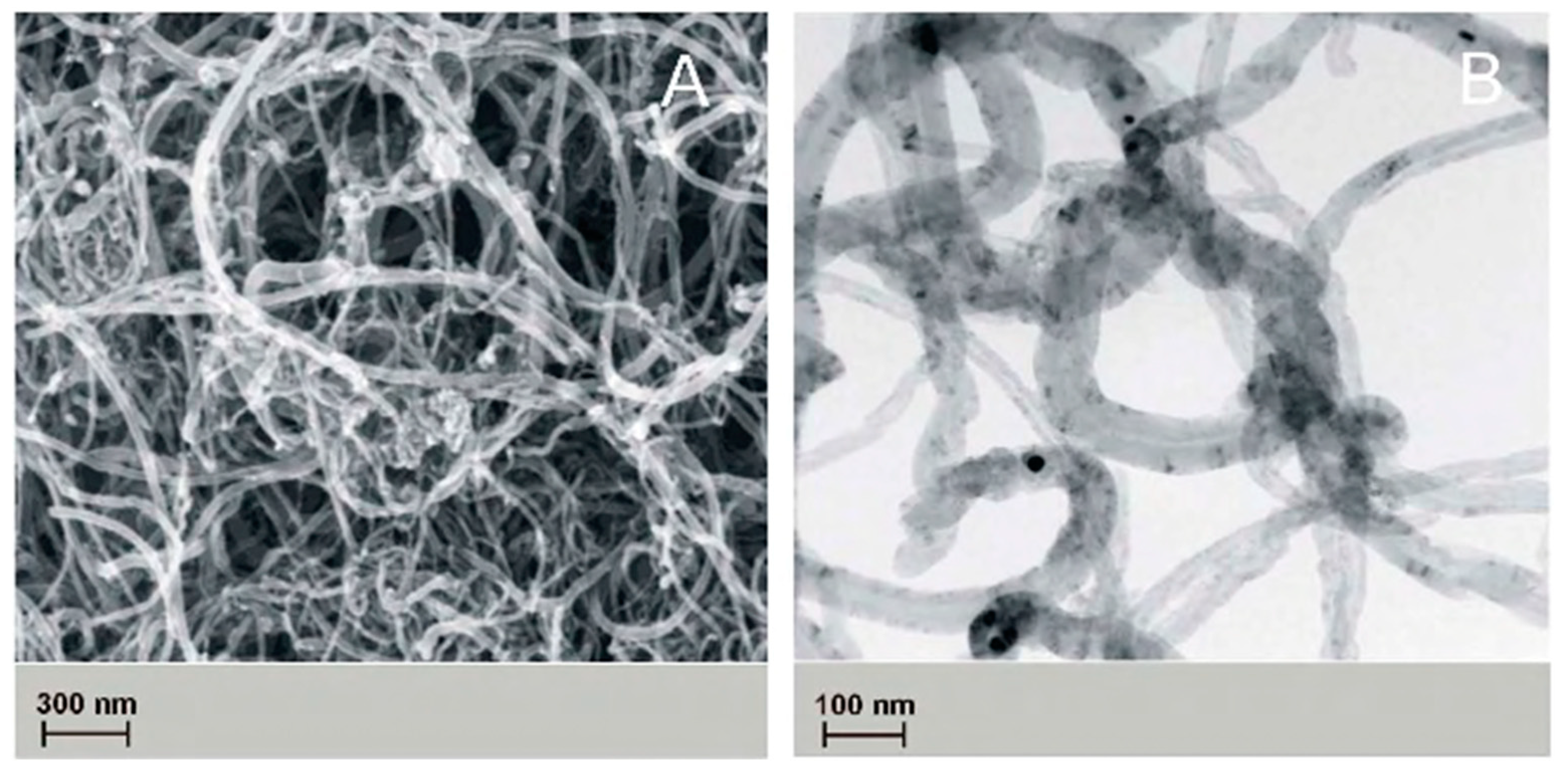 Nanomaterials 09 00063 g004