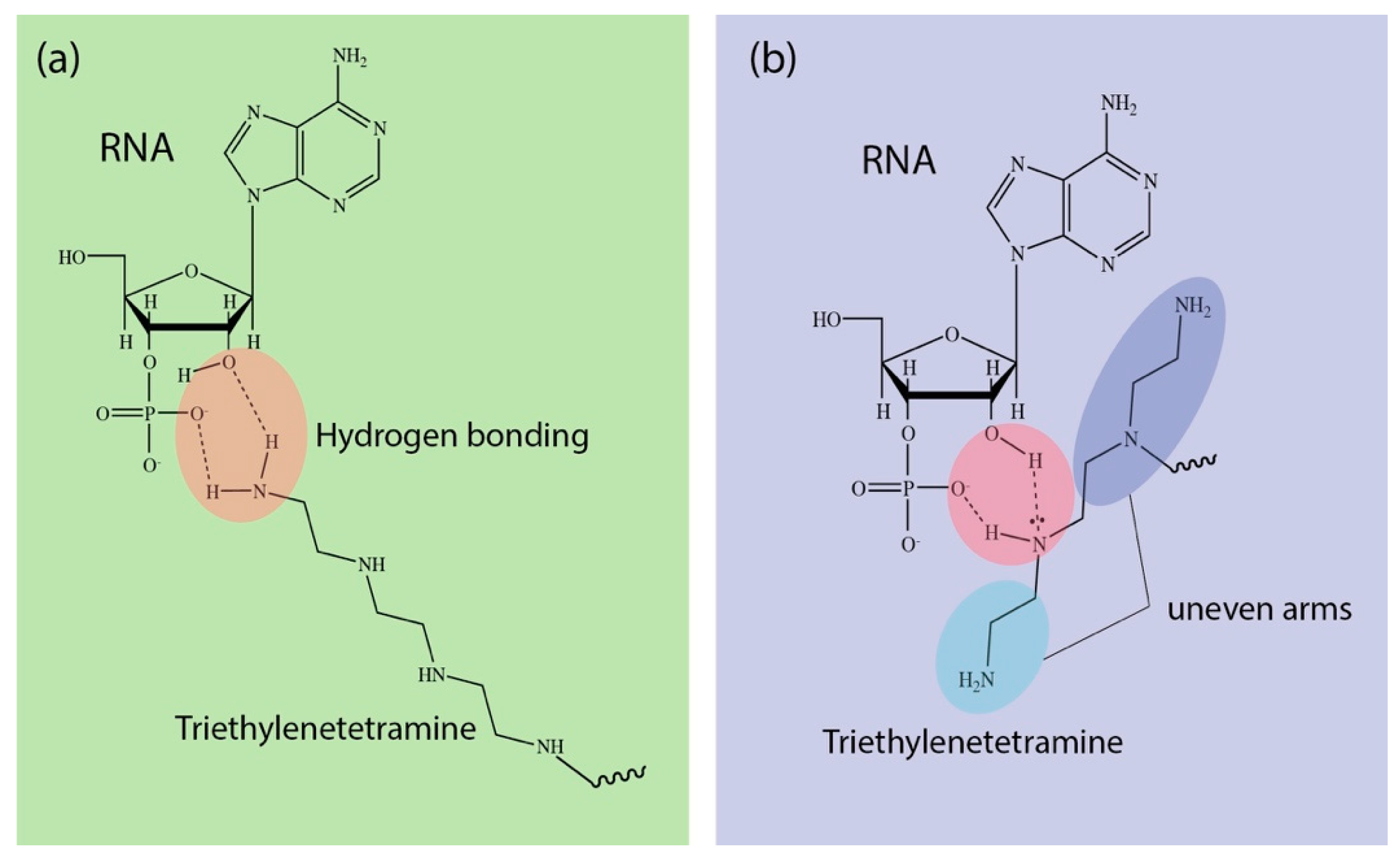 Nanomaterials 09 00067 g004 Nanomaterials 09 00067 g004