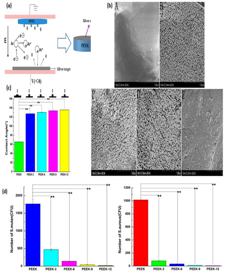 Sputtering of Electrospun Polymer-Based Nanofibers for