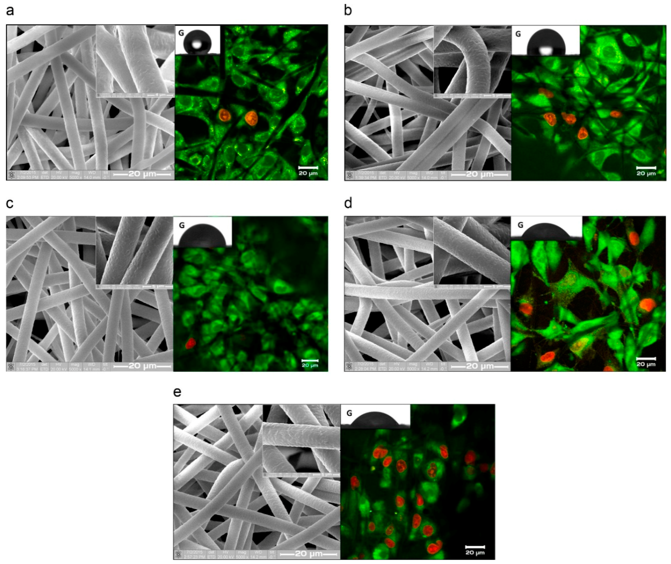 Nanomaterials 09 00077 g008