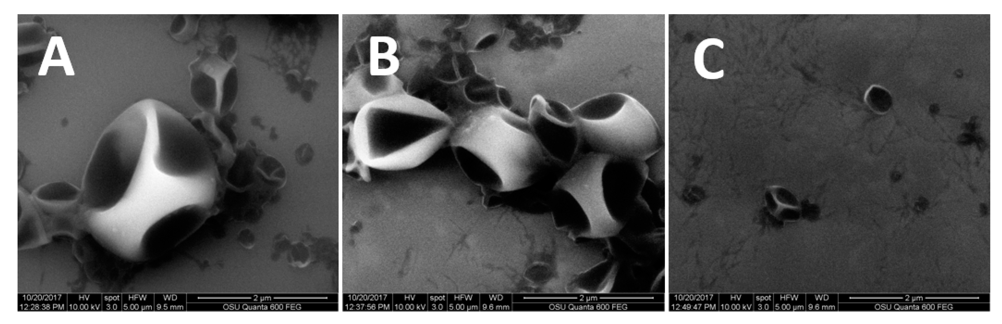 Nanomaterials 09 00081 g001