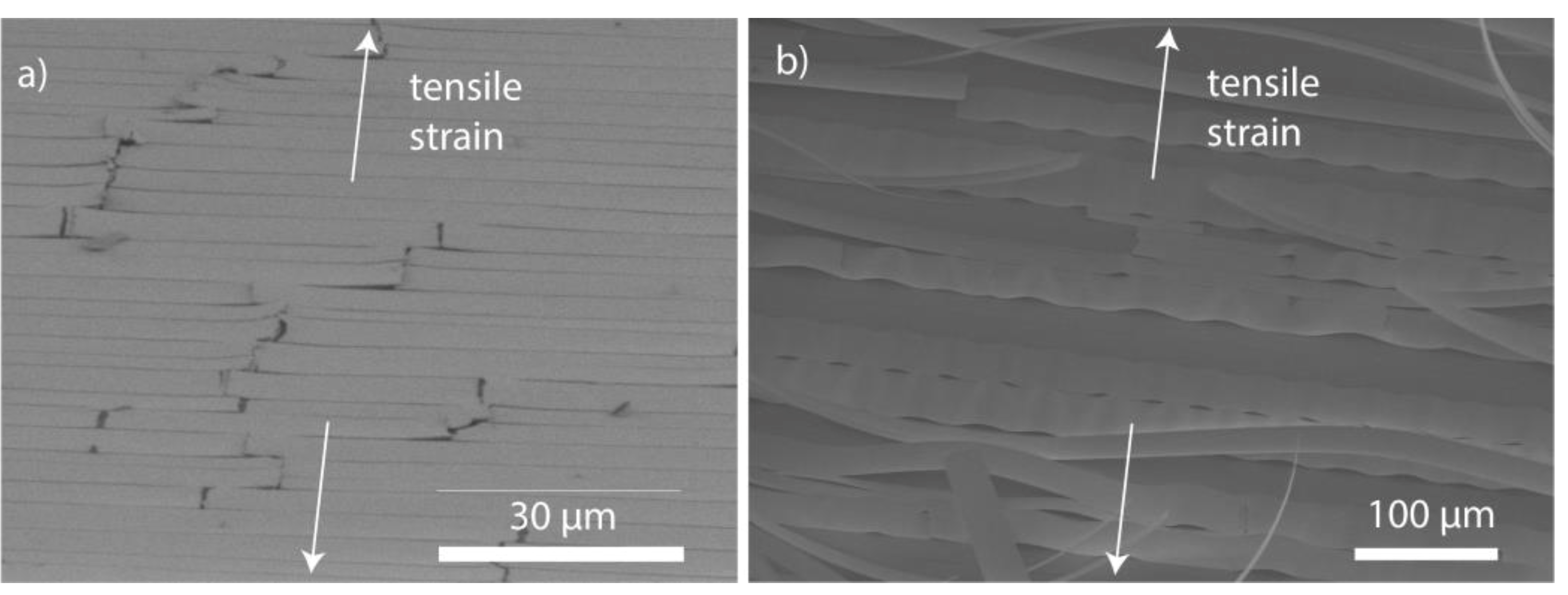 Nanomaterials 09 00088 g004