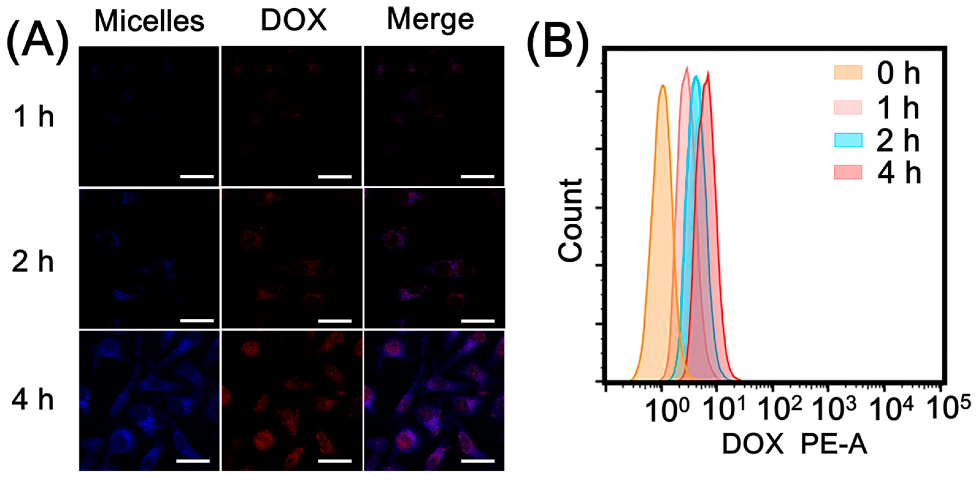 Nanomaterials 09 00091 g006 Nanomaterials 09 00091 g006