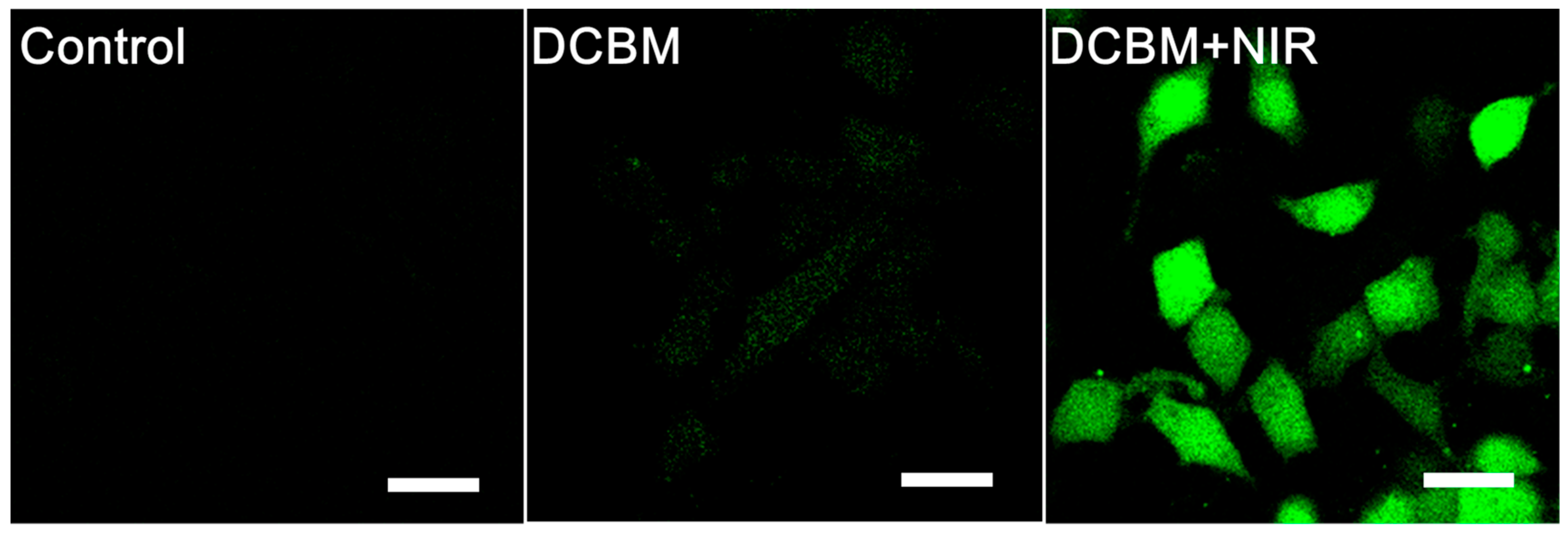 Nanomaterials 09 00091 g007 Nanomaterials 09 00091 g007