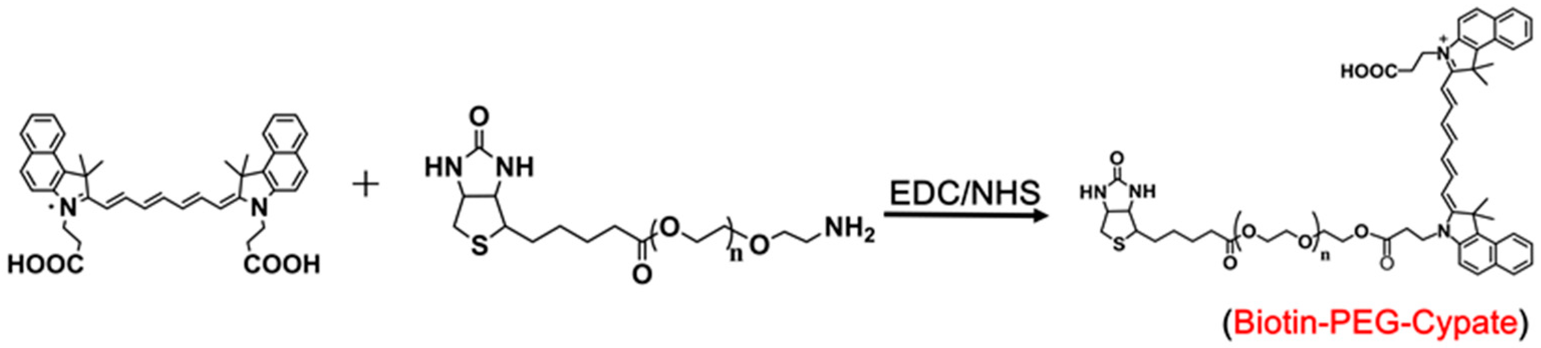 Nanomaterials 09 00091 sch002 Nanomaterials 09 00091 sch002