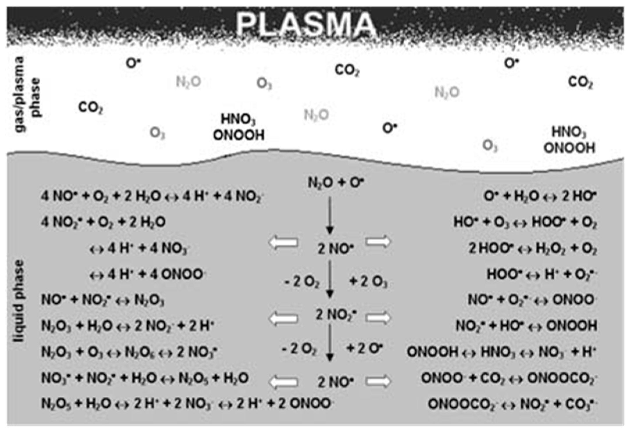 Nanomaterials 09 00098 g003