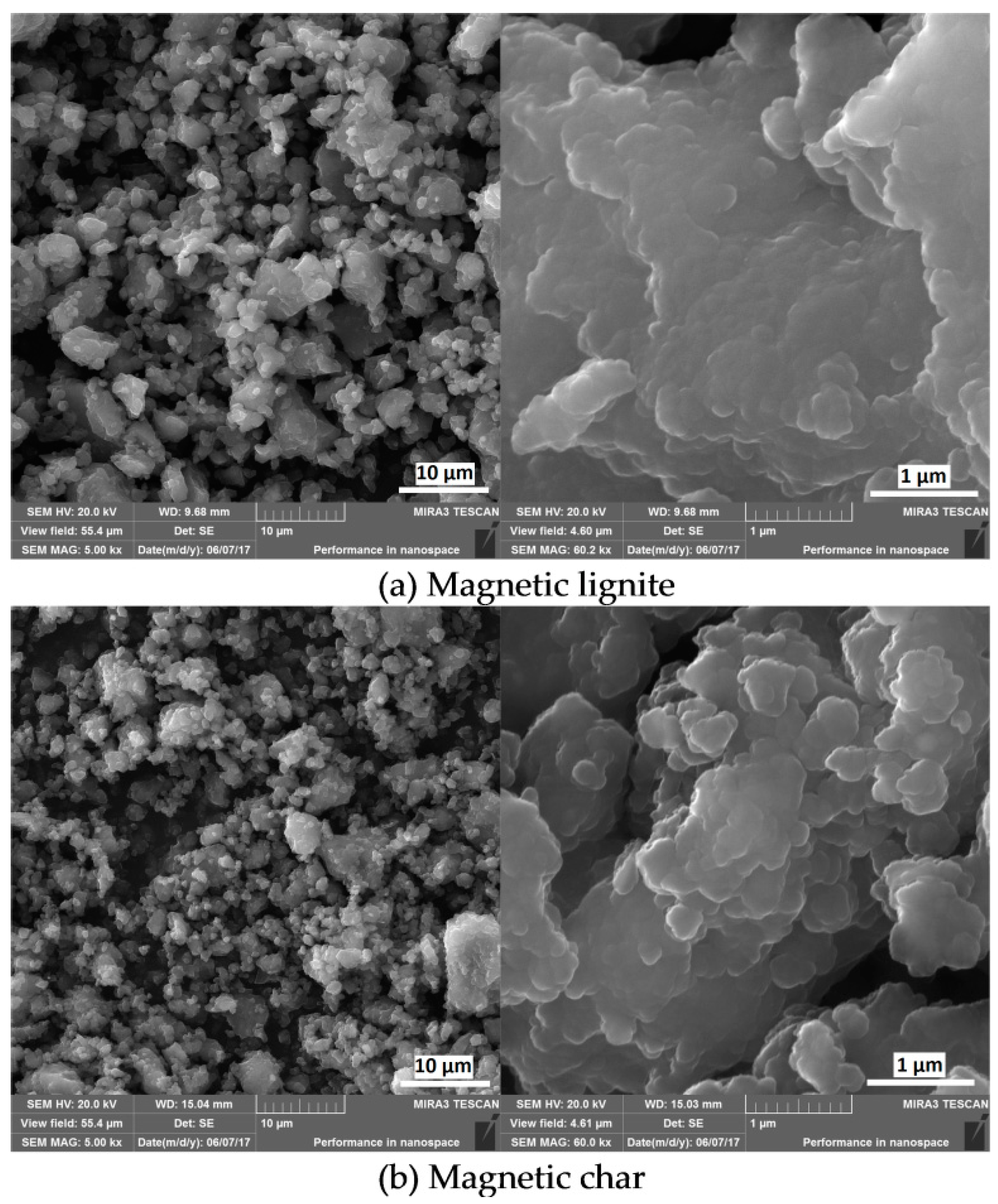 Nanomaterials 09 00100 g001 Nanomaterials 09 00100 g001