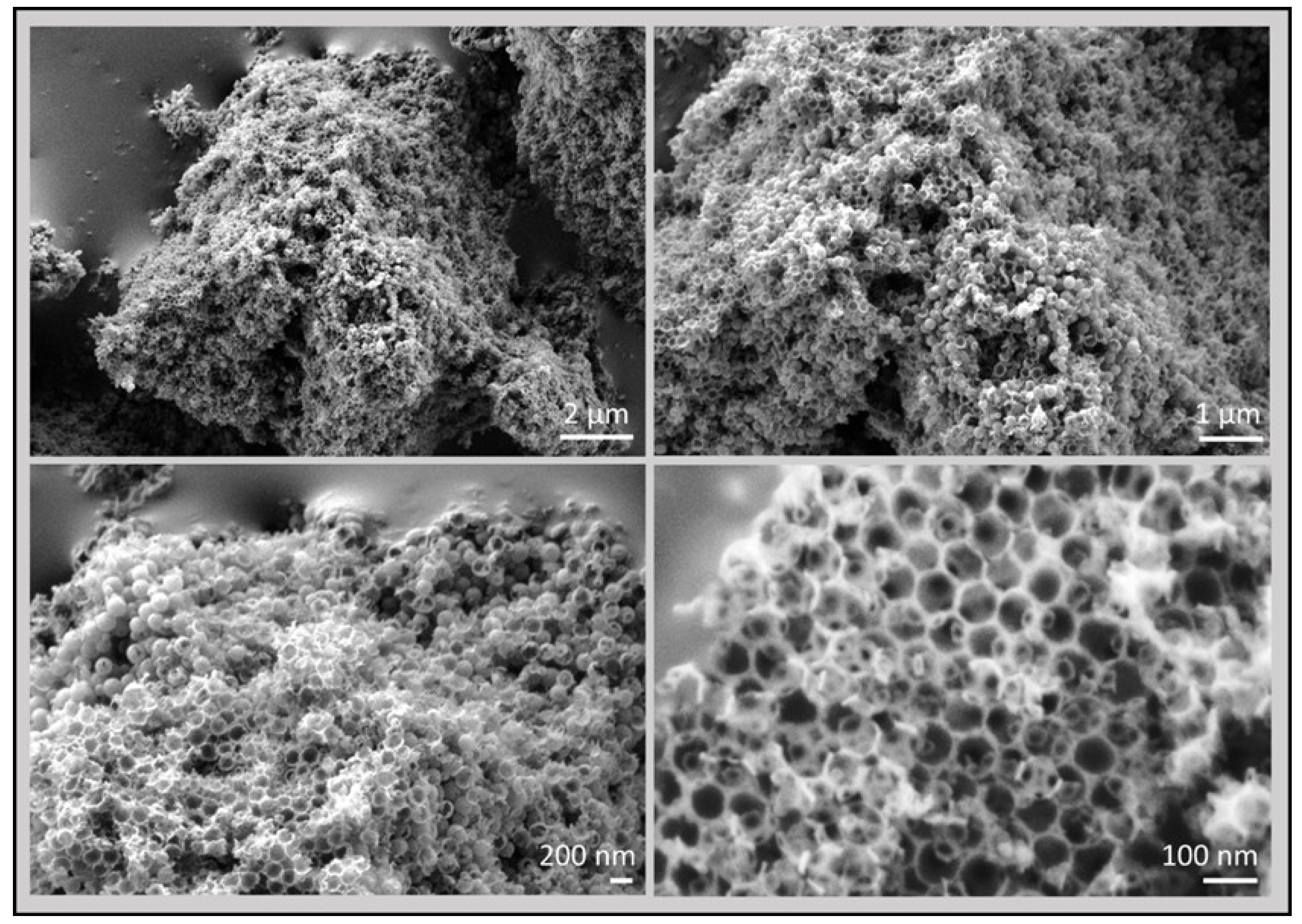 Nanomaterials 09 00101 g008