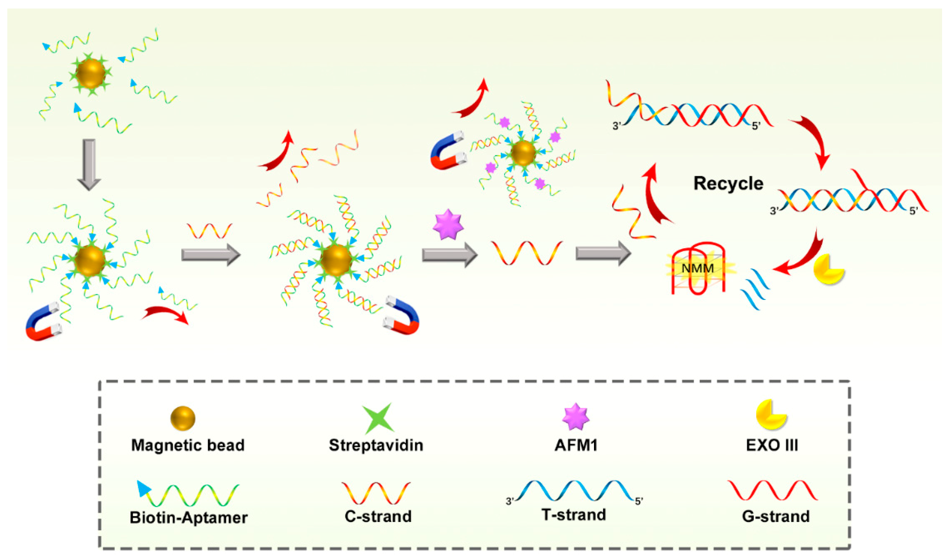 Nanomaterials 09 00104 g001
