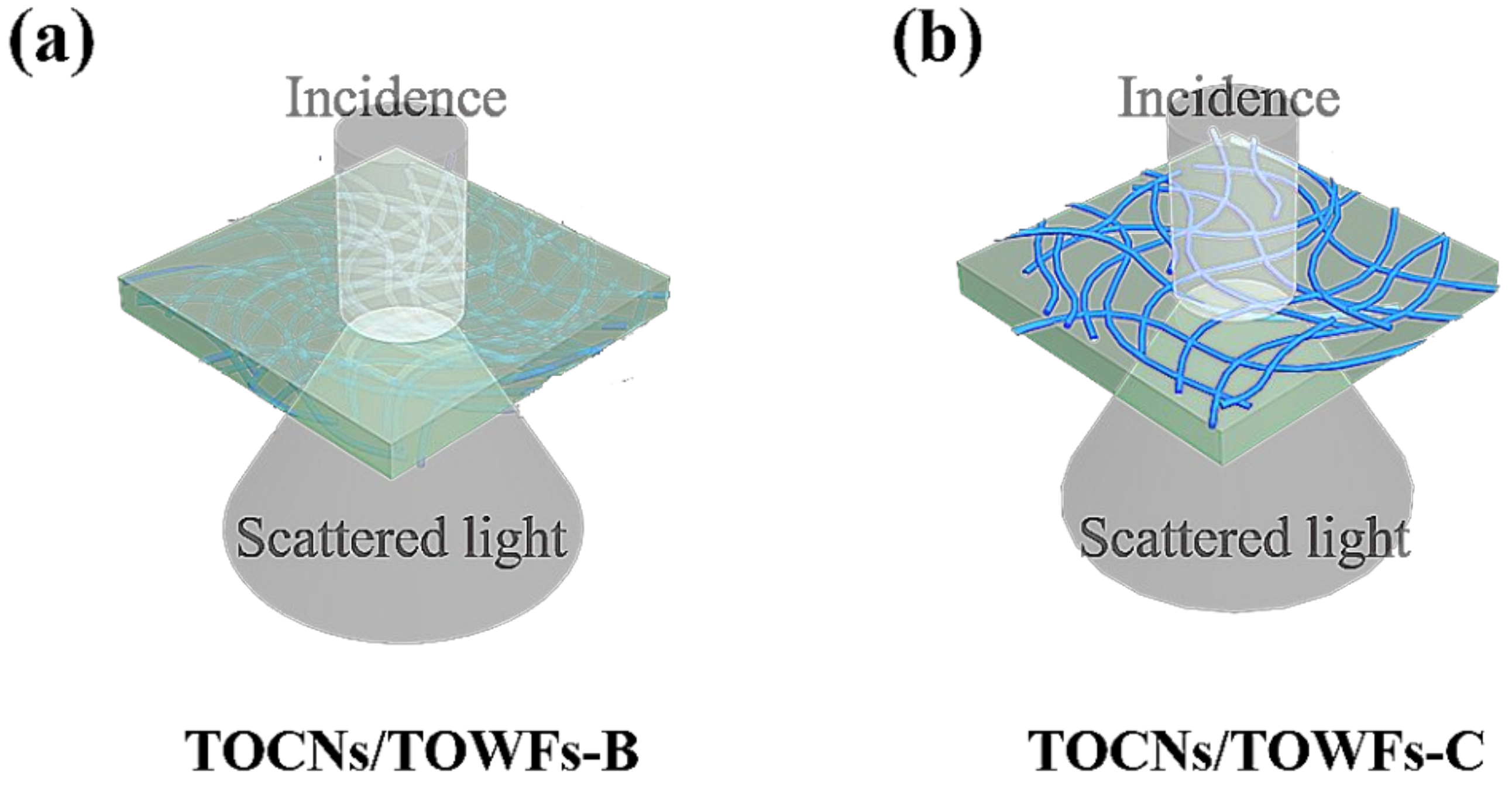 Nanomaterials 09 00107 g003 Nanomaterials 09 00107 g003