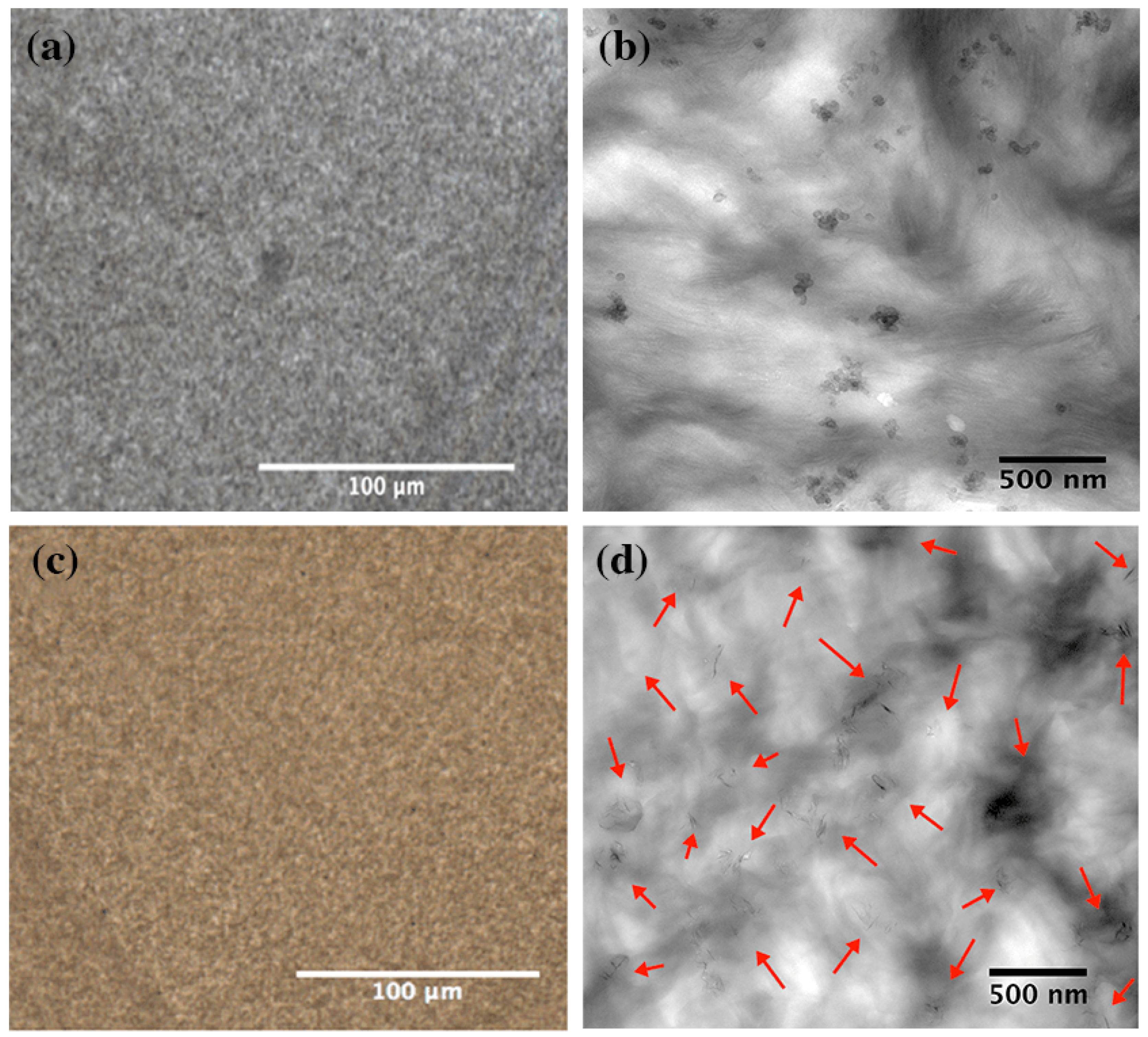 Nanomaterials 09 00110 g001