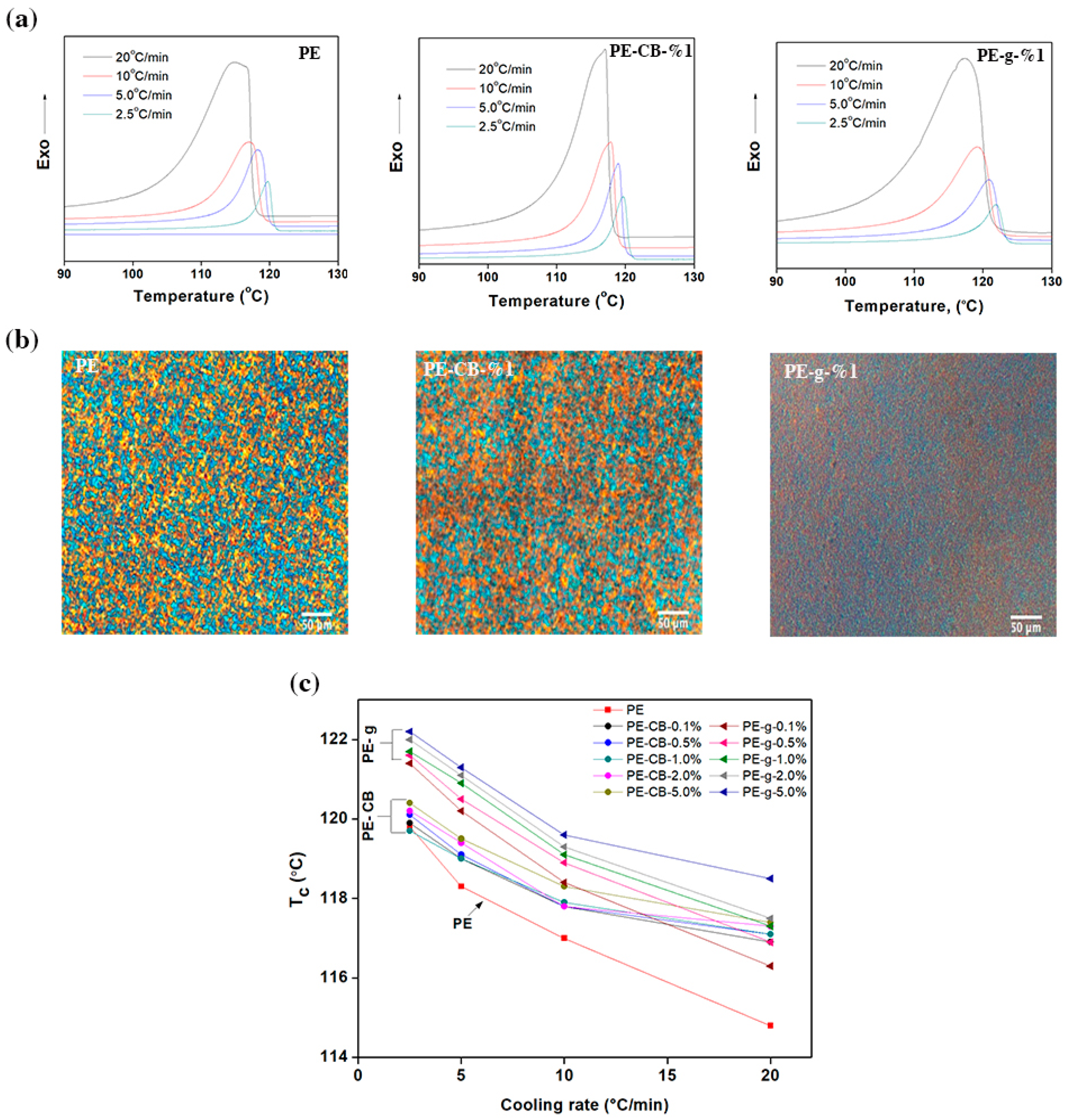 Nanomaterials 09 00110 g003