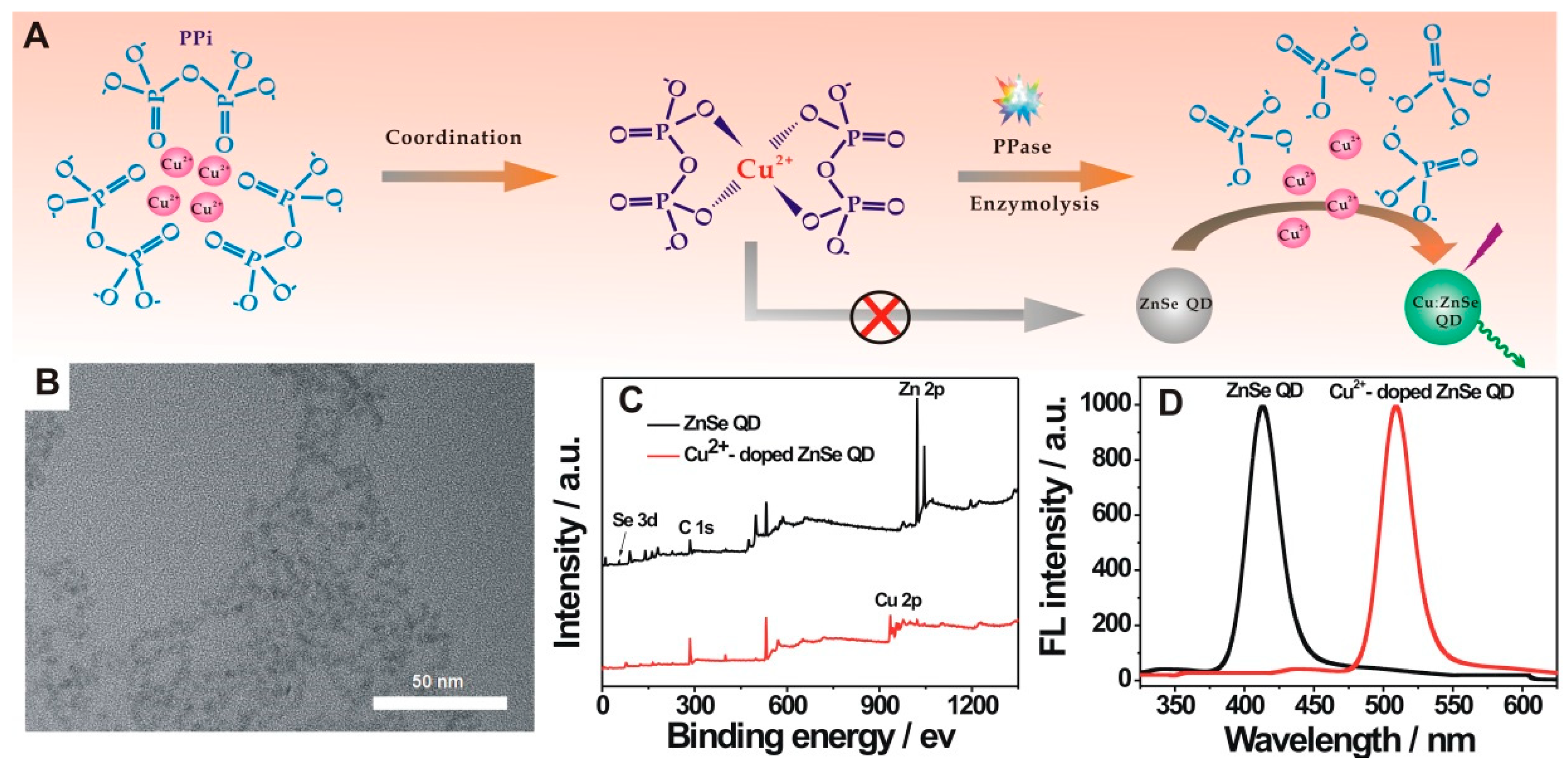 Nanomaterials 09 00111 g001 Nanomaterials 09 00111 g001