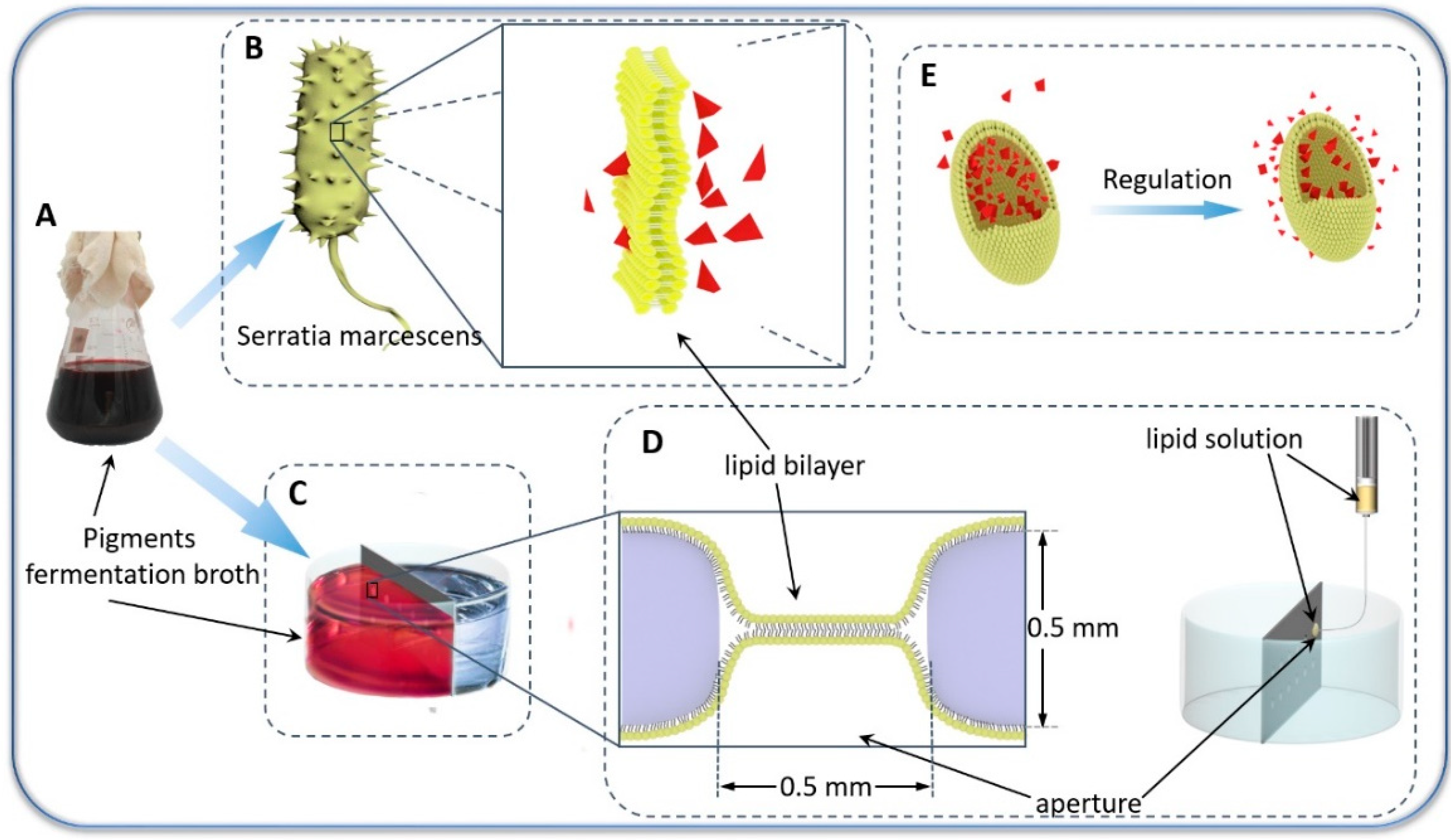 Nanobiotechnology of Biomimetic Membranes: 1 (Fundamental Biomedical Technologies)