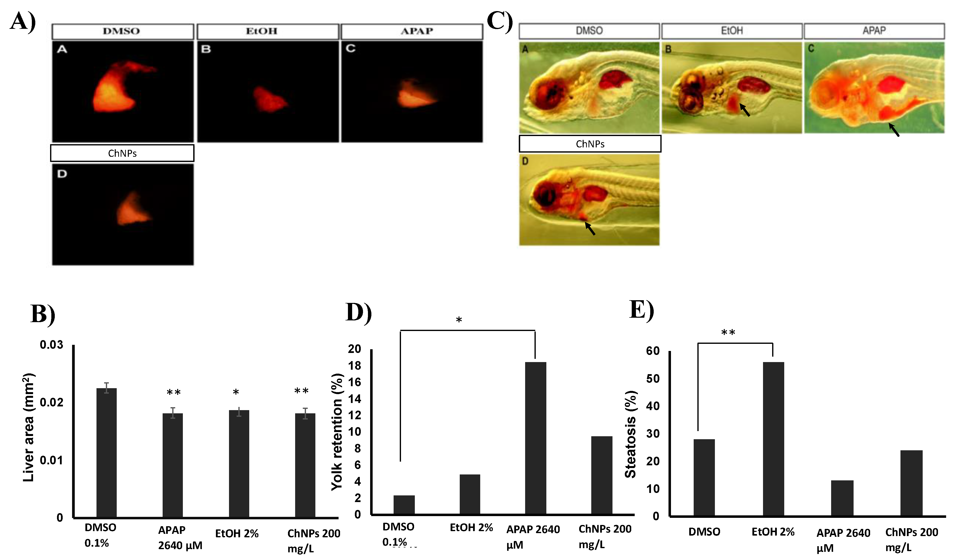 Nanomaterials 09 00122 g006