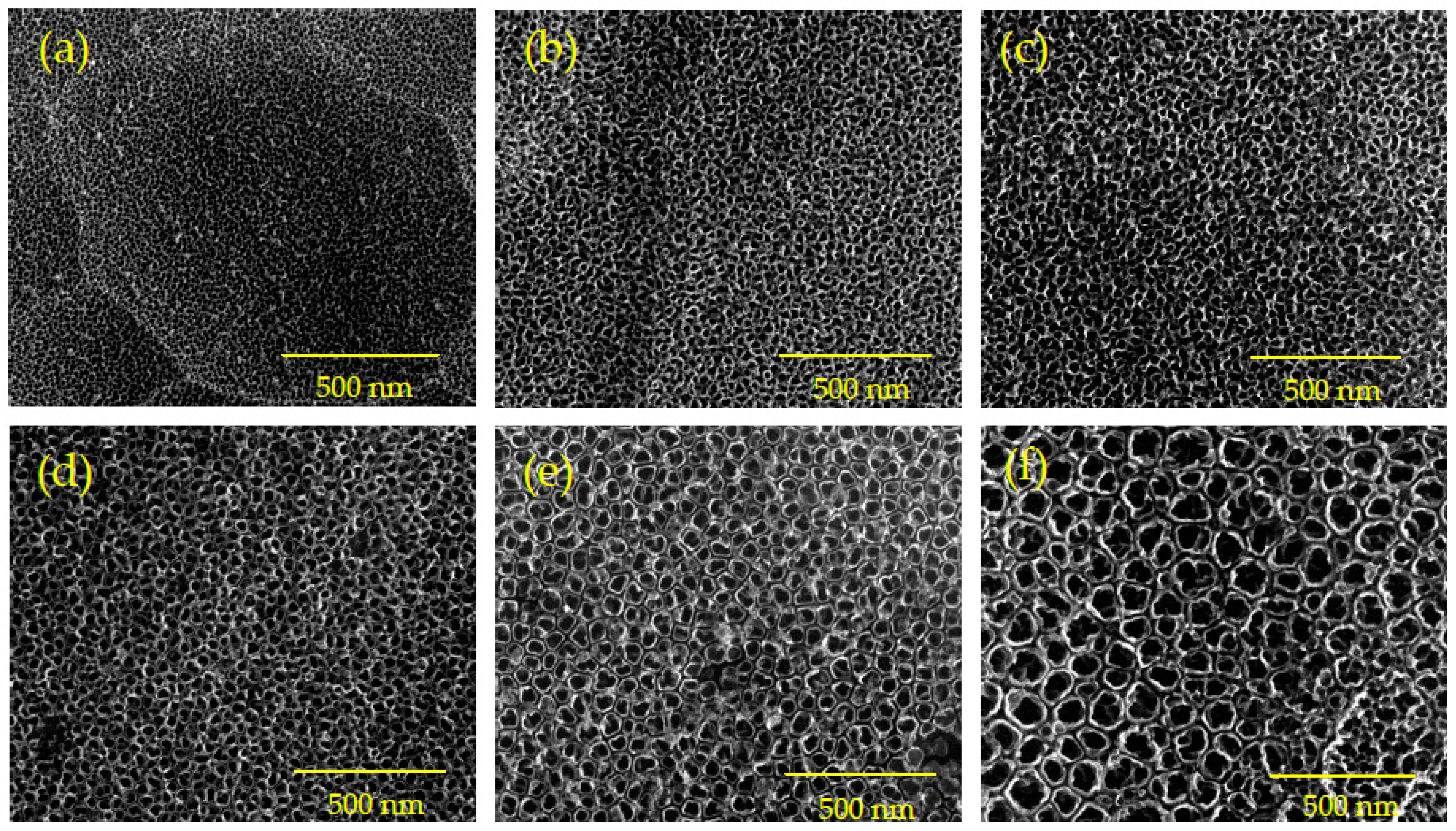 Nanomaterials 09 00123 g001
