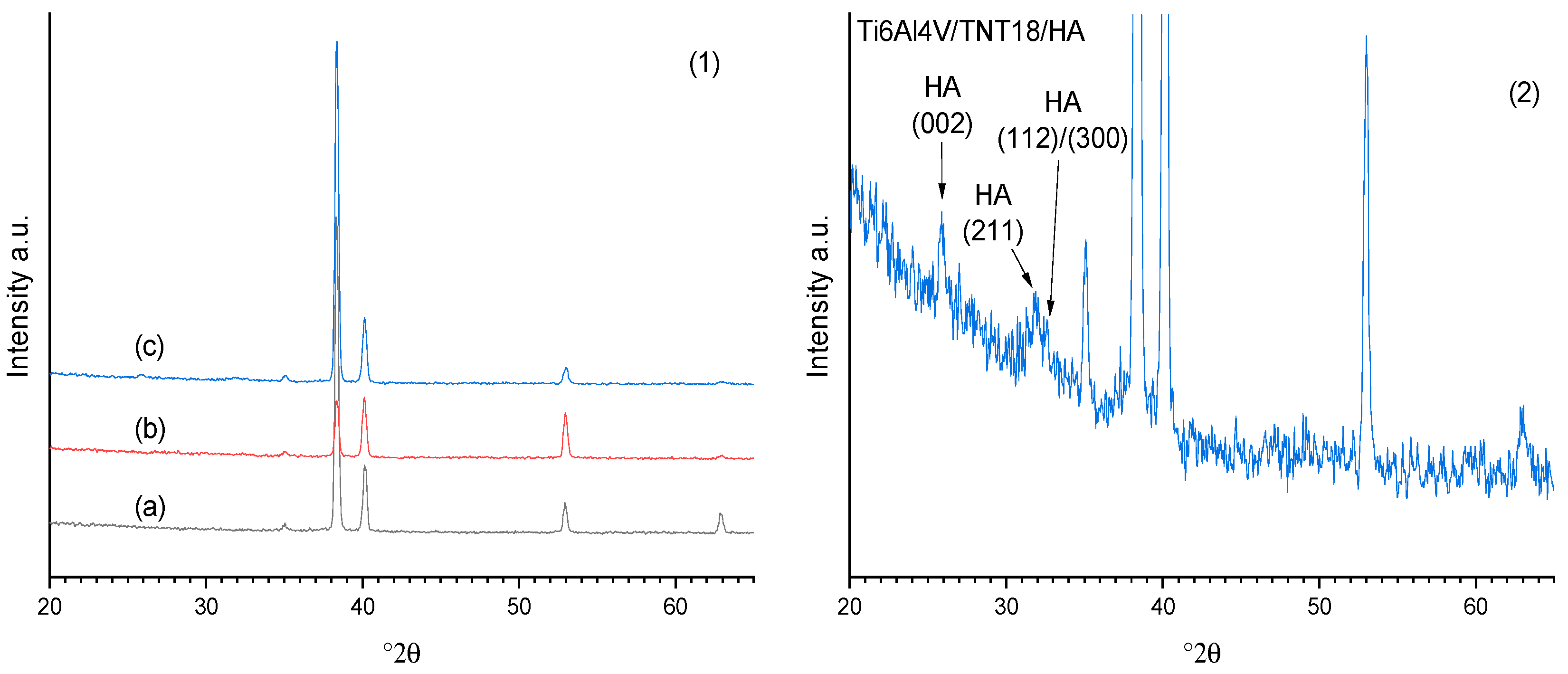Nanomaterials 09 00123 g002