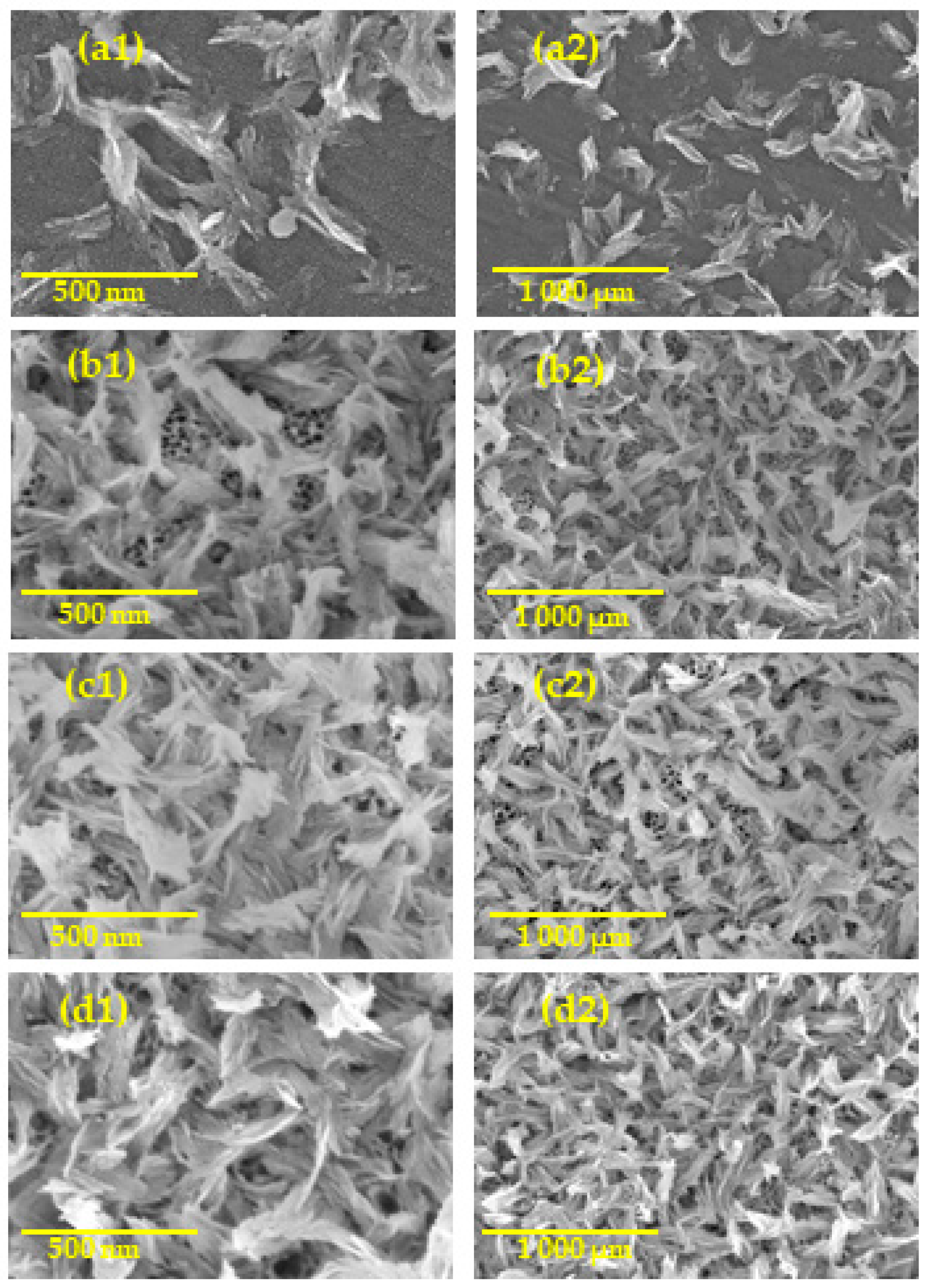 Nanomaterials 09 00123 g004
