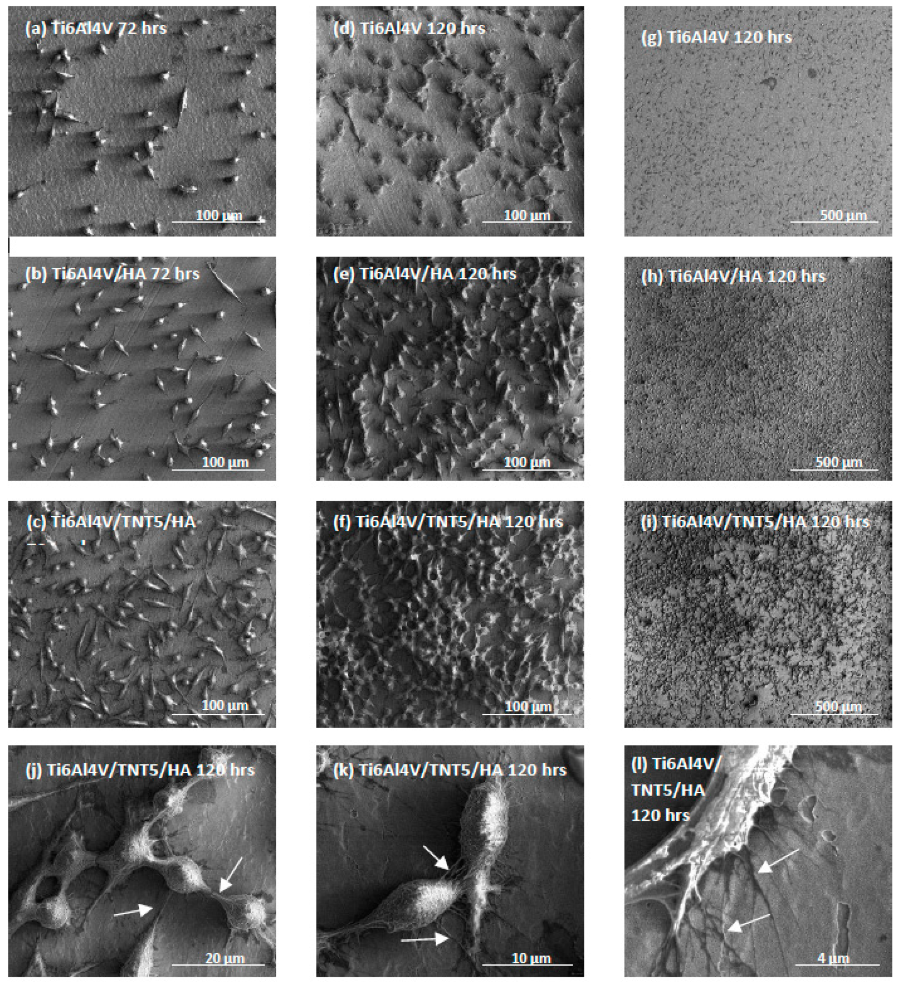 Nanomaterials 09 00123 g008
