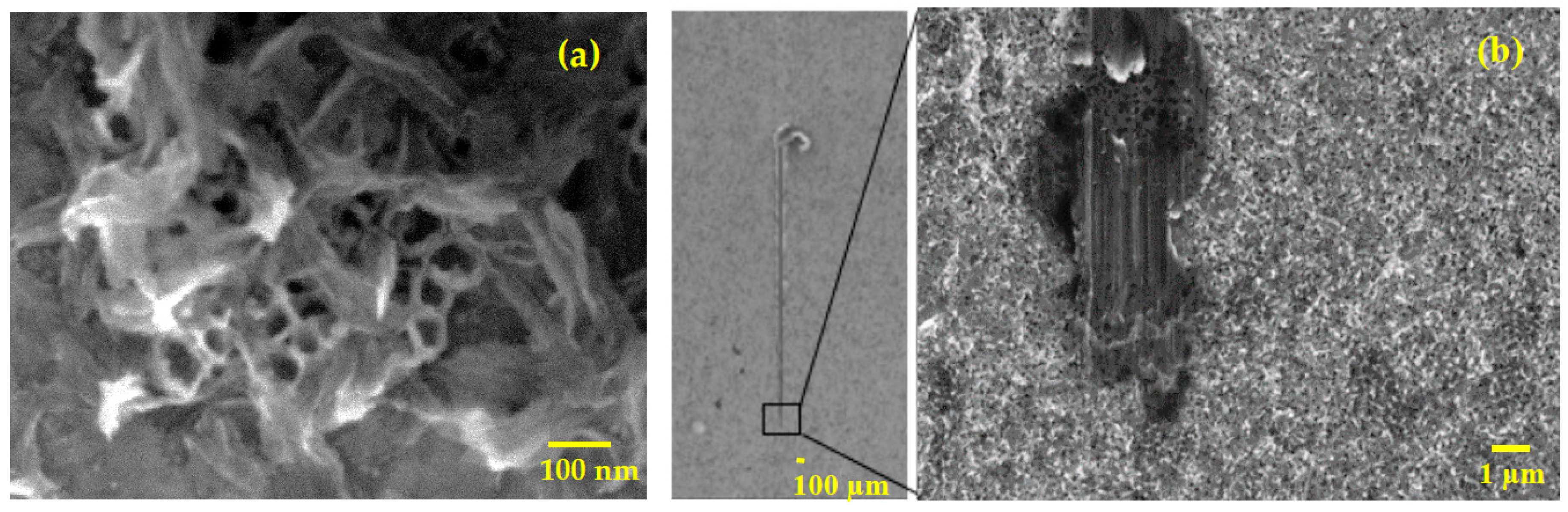 Nanomaterials 09 00123 g010