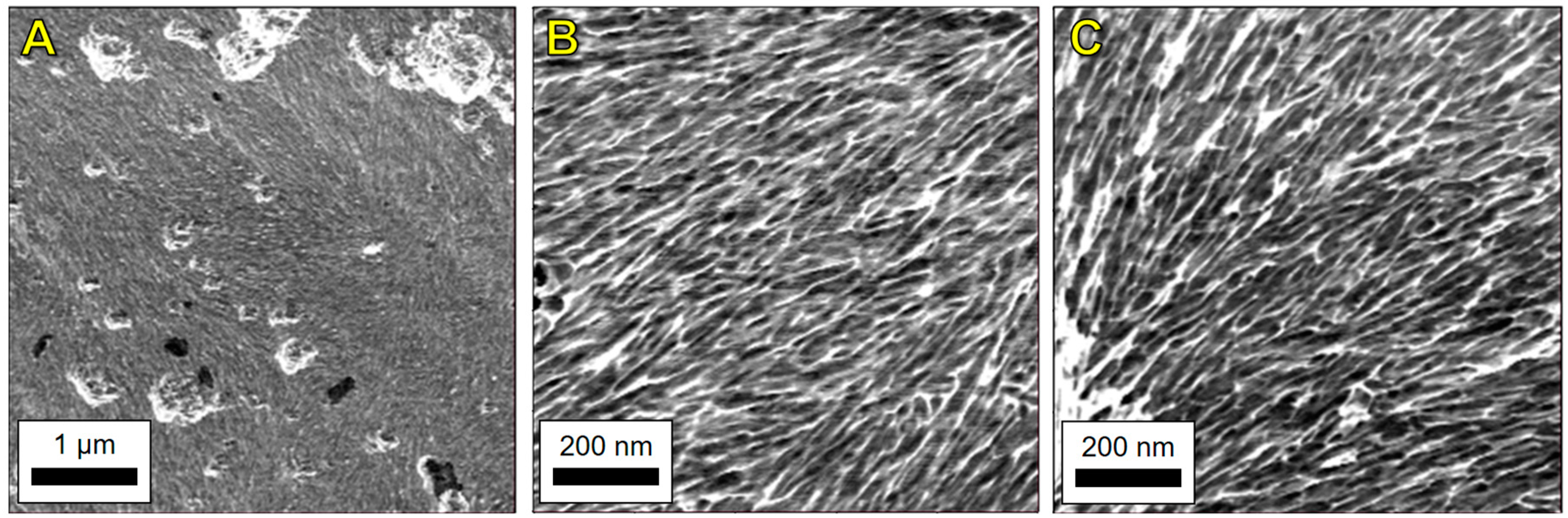 Nanomaterials 09 00125 g0a5