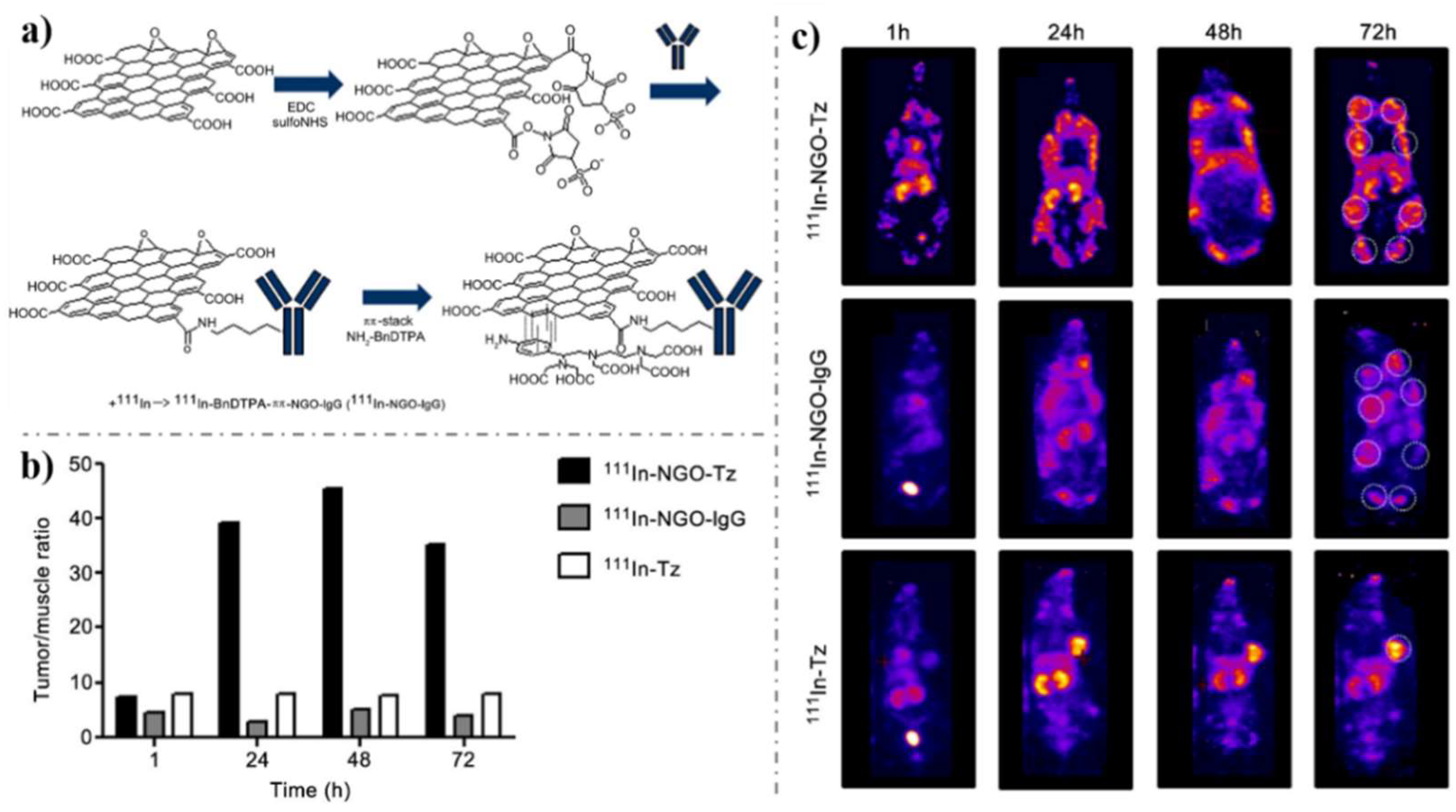 Nanomaterials 09 00130 g010 Nanomaterials 09 00130 g010