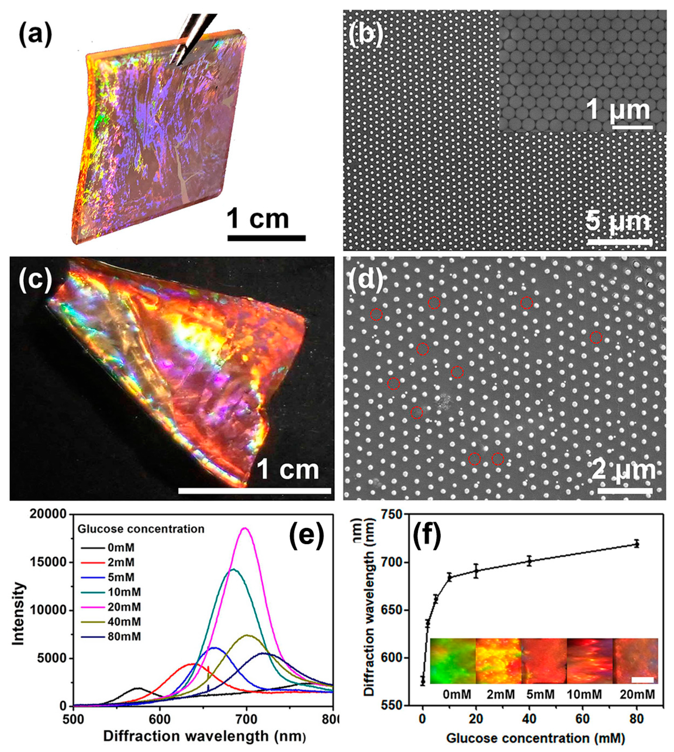 Nanomaterials 09 00140 g002 Nanomaterials 09 00140 g002