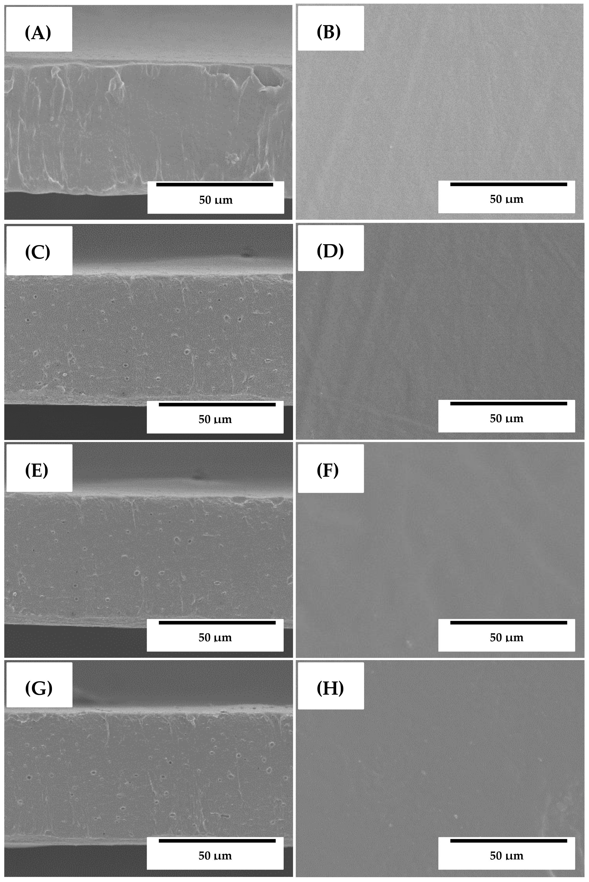 Nanomaterials 09 00144 g002