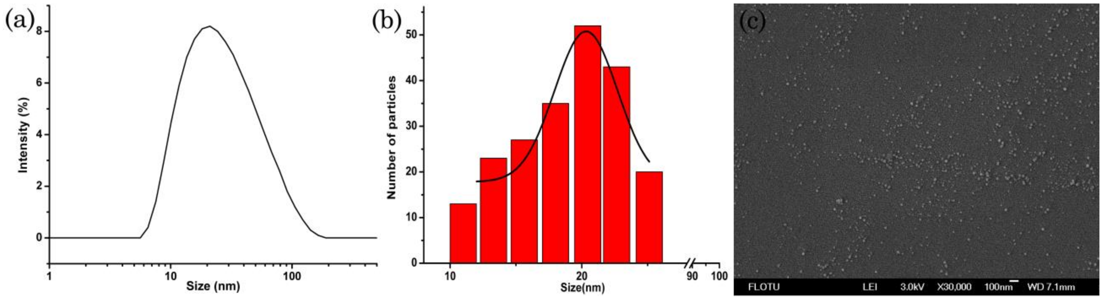 Nanomaterials 09 00145 g010