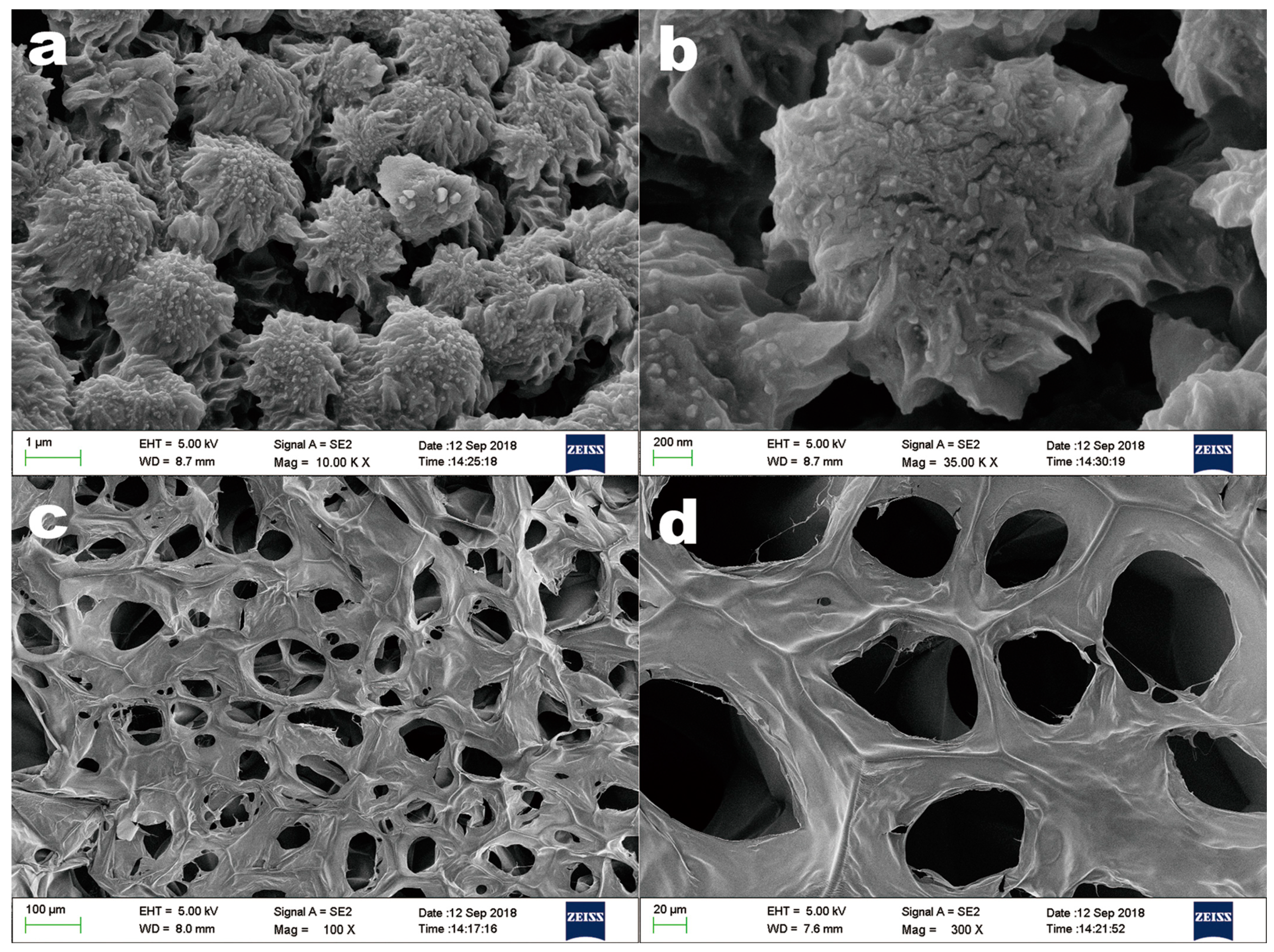 Nanomaterials 09 00147 g004 Nanomaterials 09 00147 g004