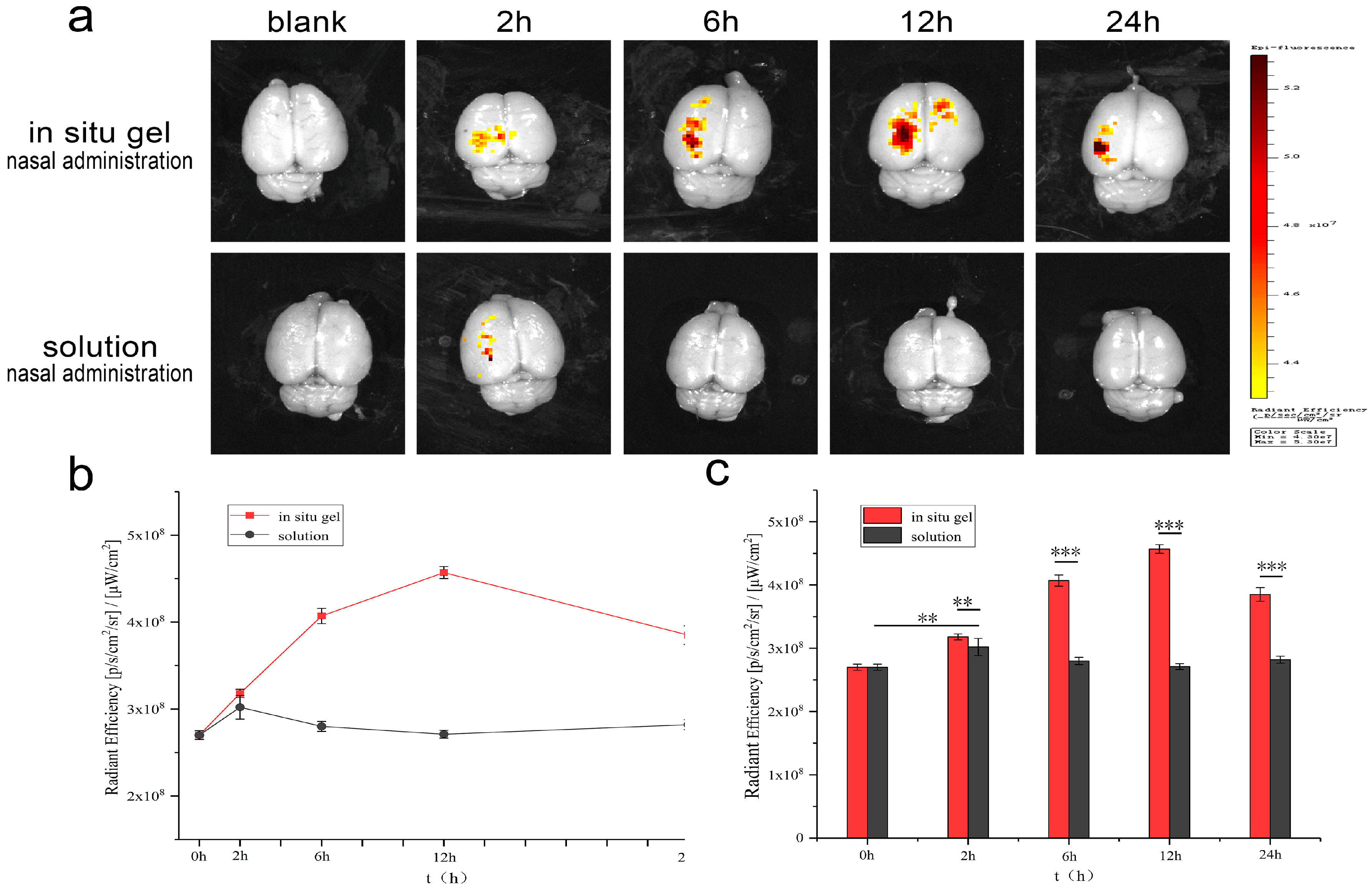 Nanomaterials 09 00147 g010 Nanomaterials 09 00147 g010