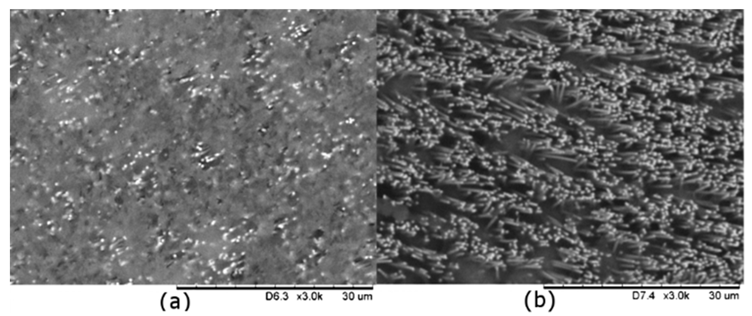 Nanomaterials 09 00150 g001