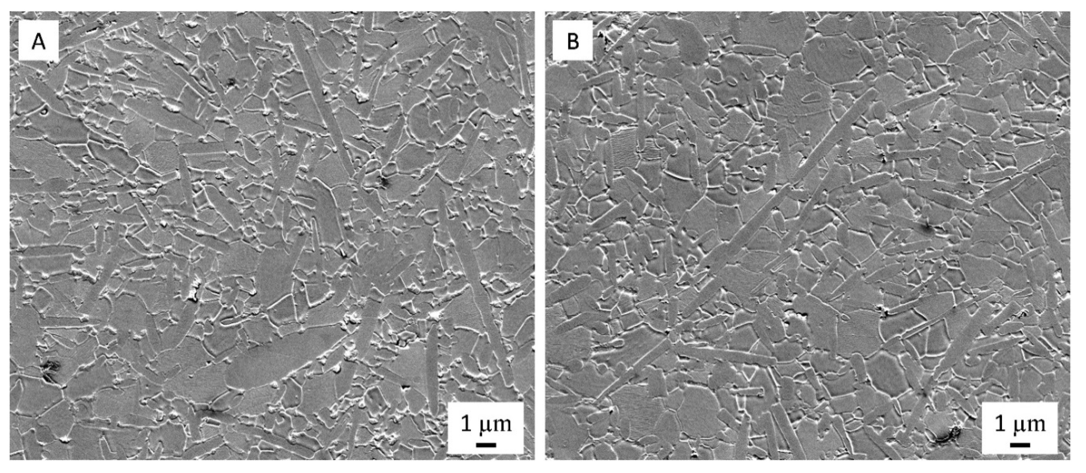 Nanomaterials 09 00151 g003